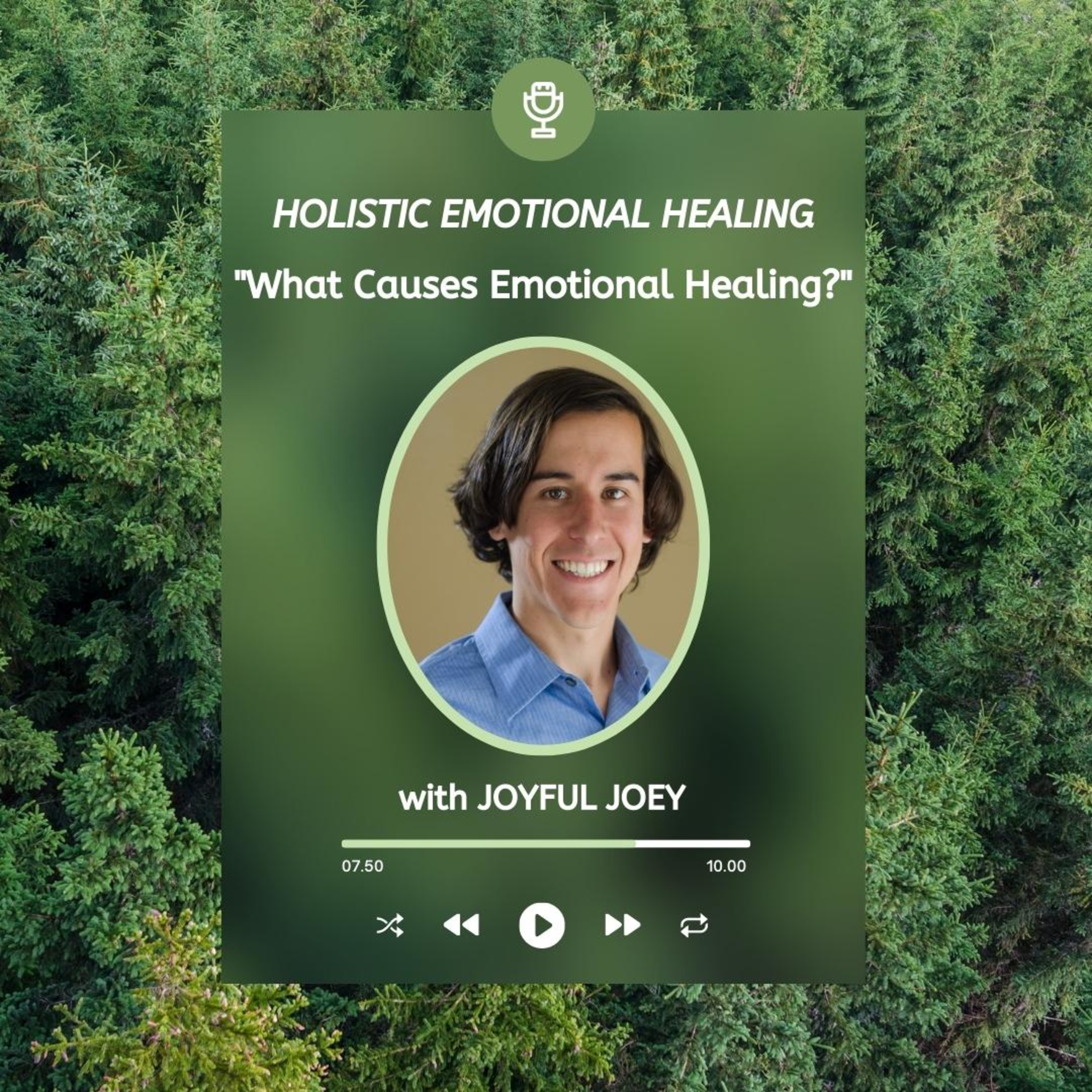 Holistic Emotional Healing