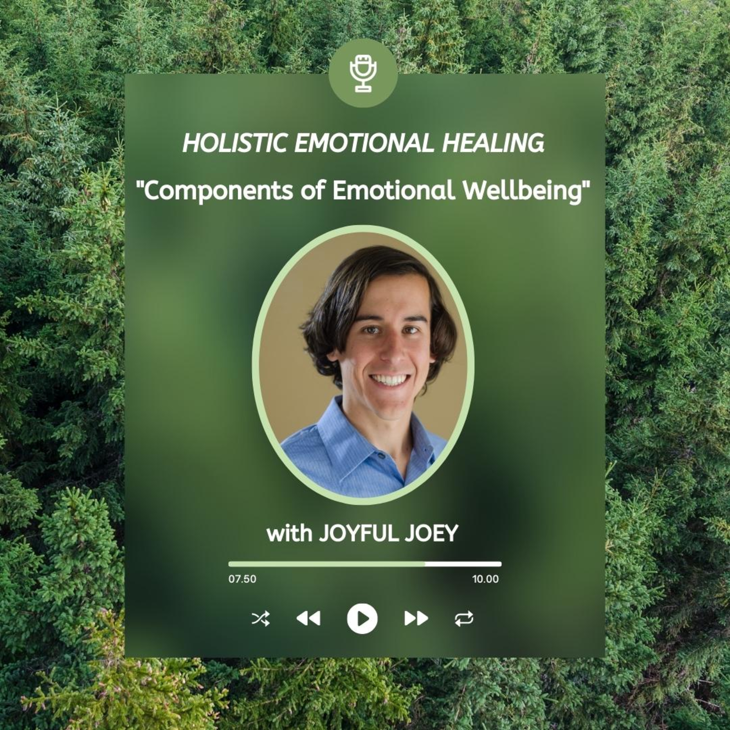 Holistic Emotional Healing