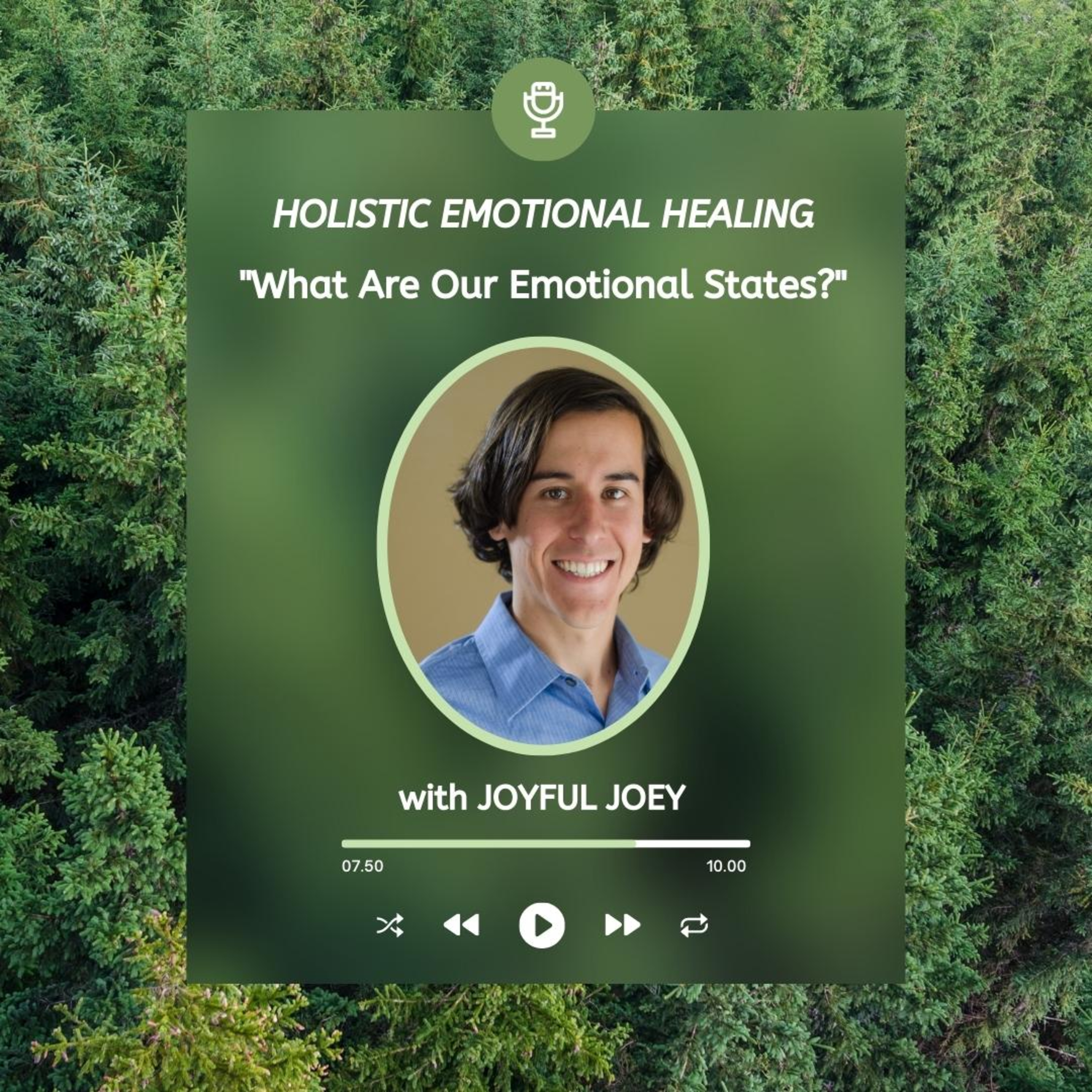 Holistic Emotional Healing