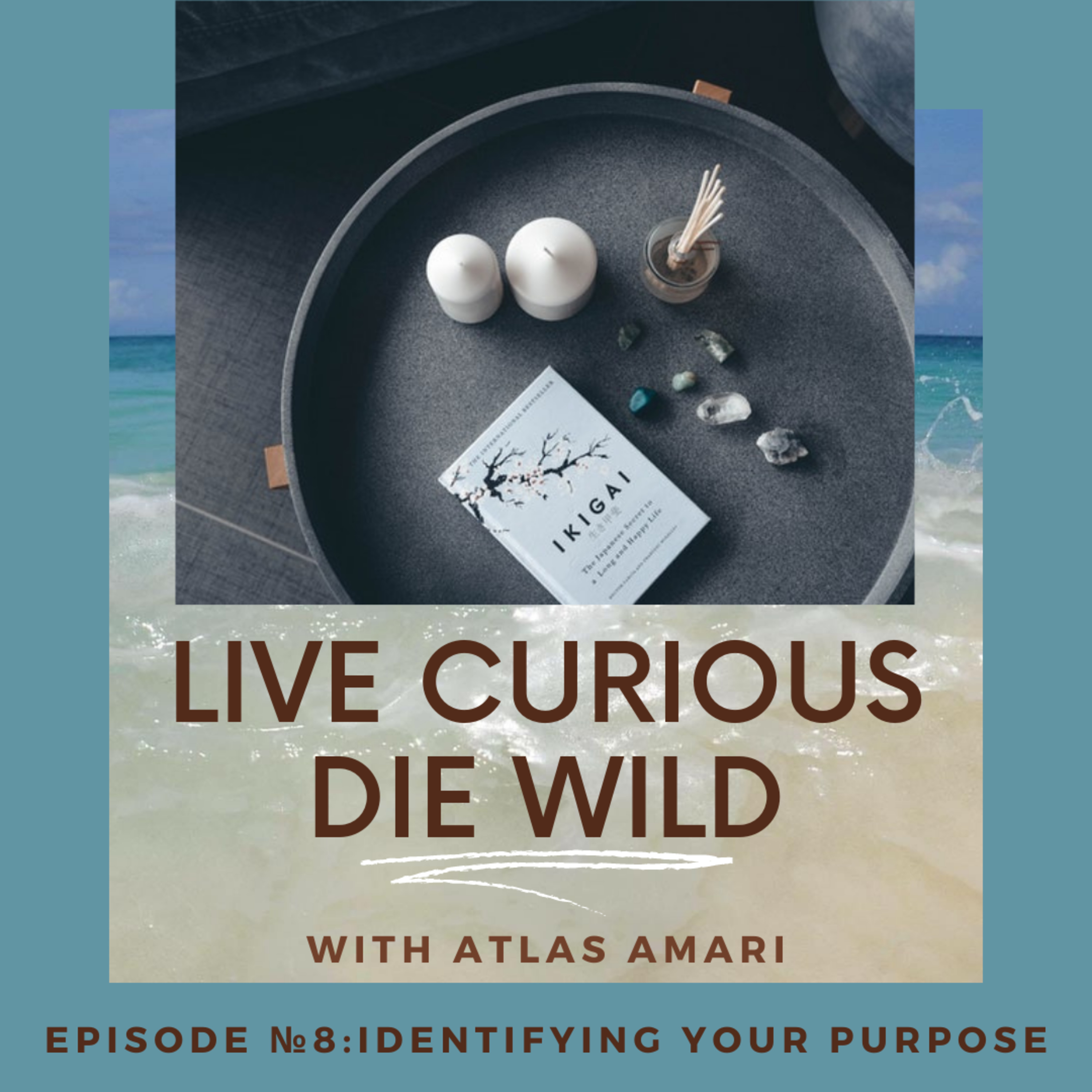 Live Curious Die Wild