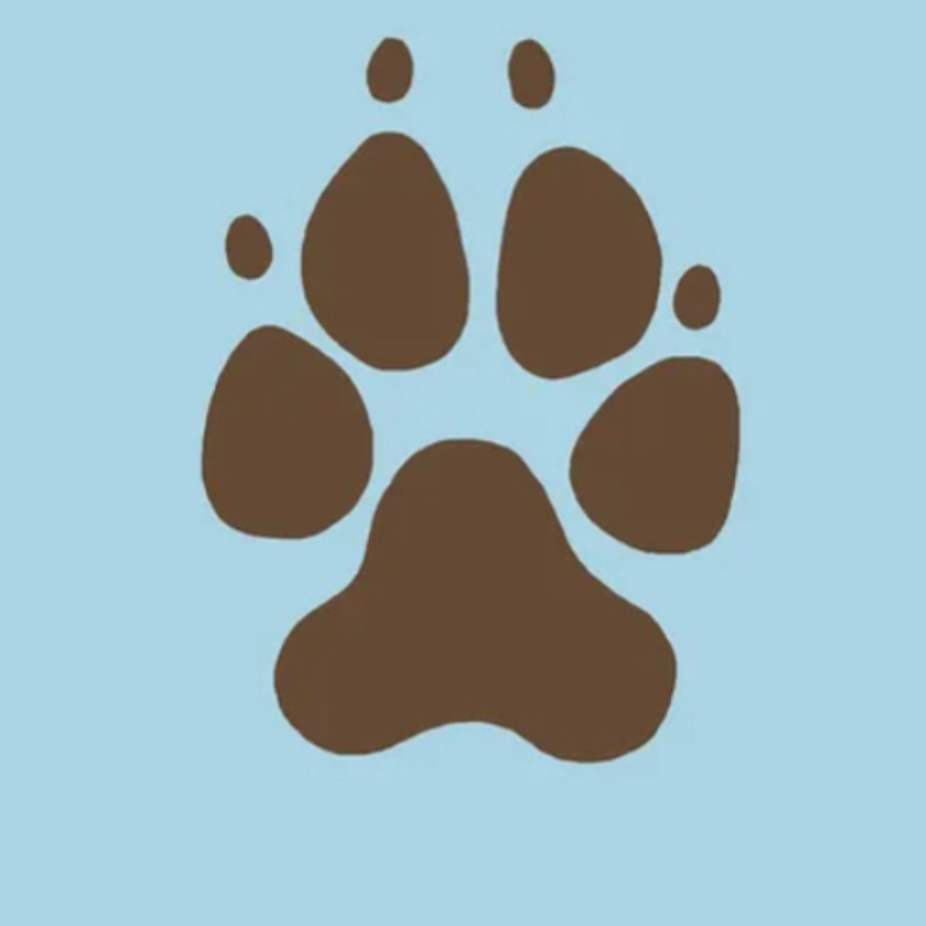Paw cast