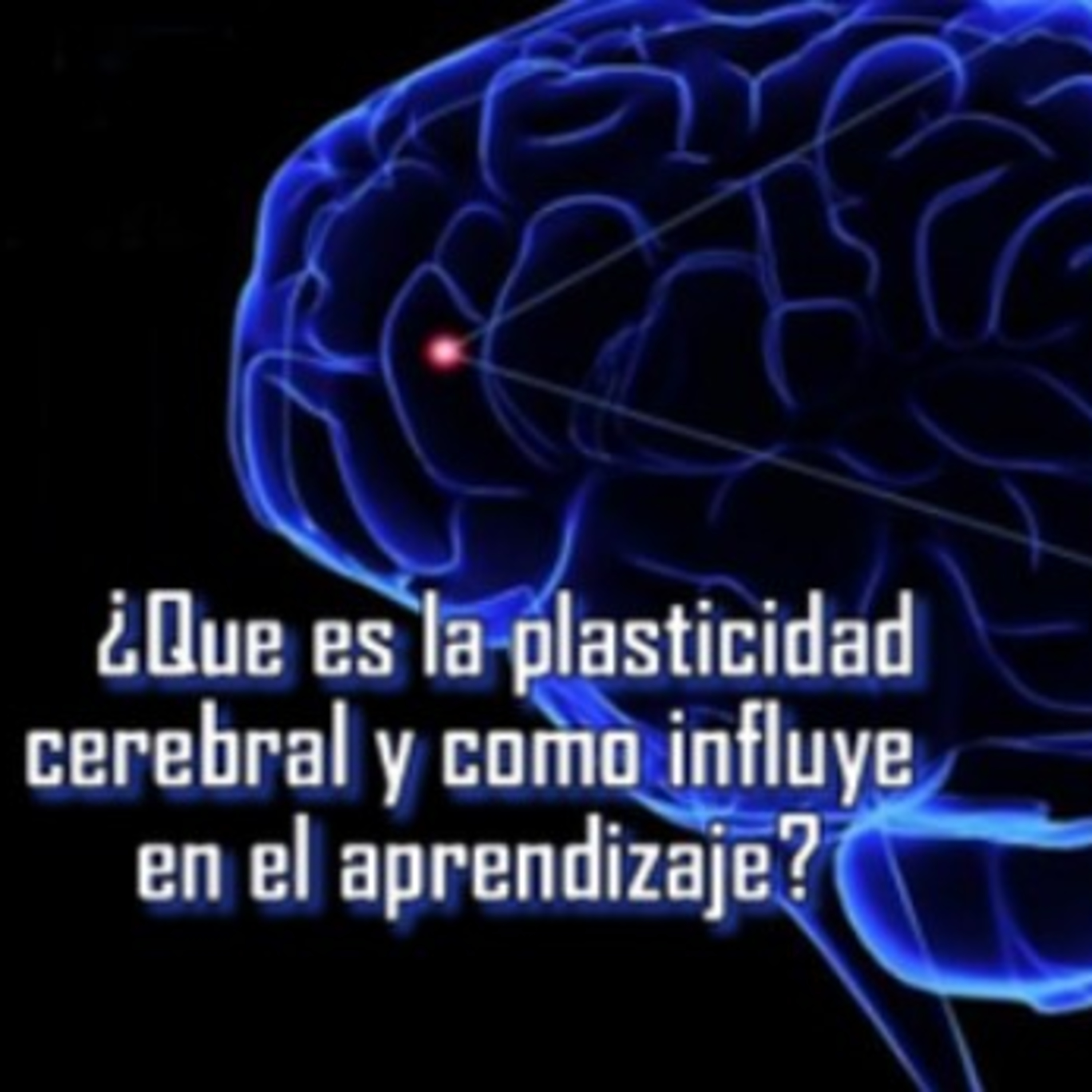¿Qué es la plasticidad cerebral y cómo influye en el aprendizaje? ¿Qué es la plasticidad cerebral y cómo influye en el aprendizaje?