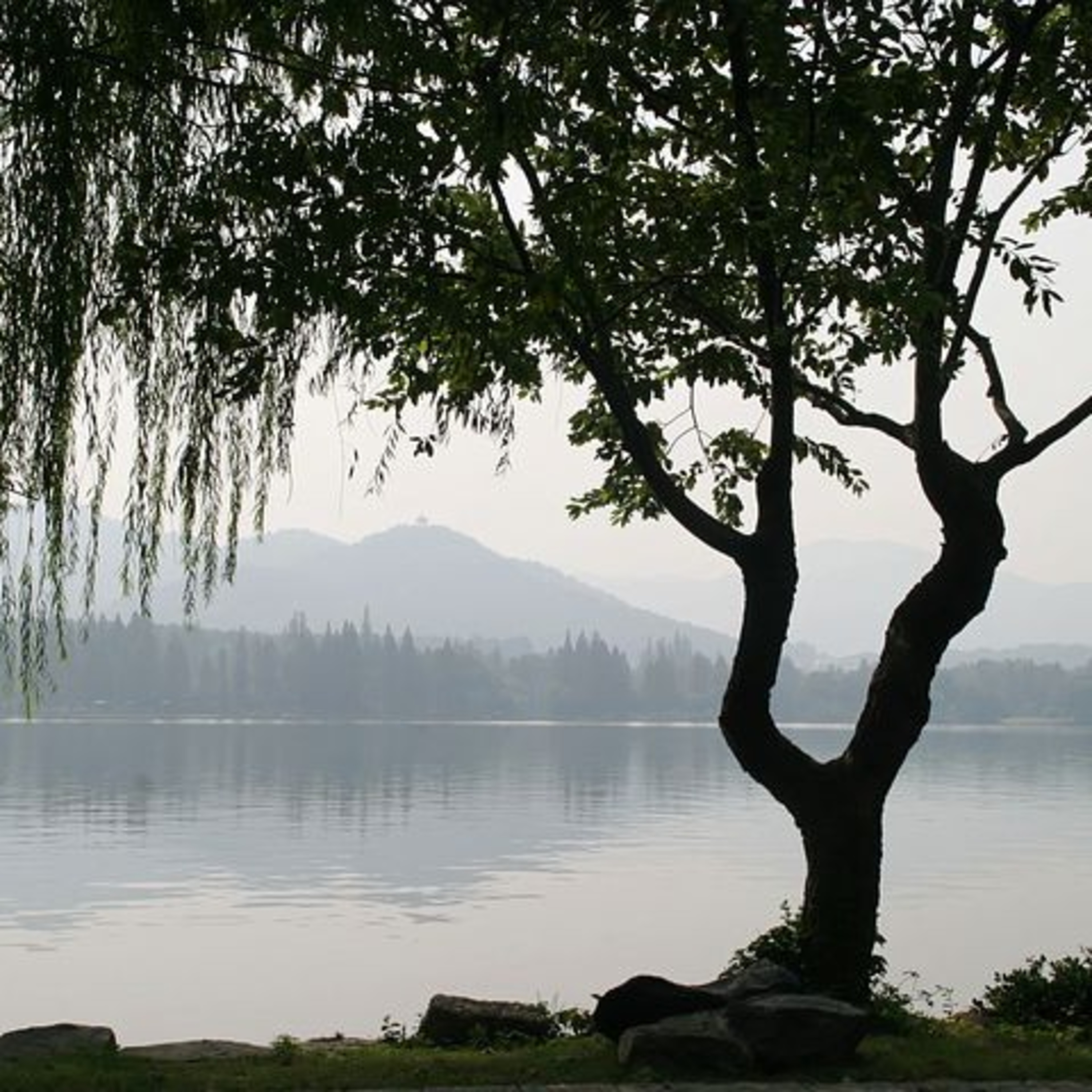 Beautiful Life