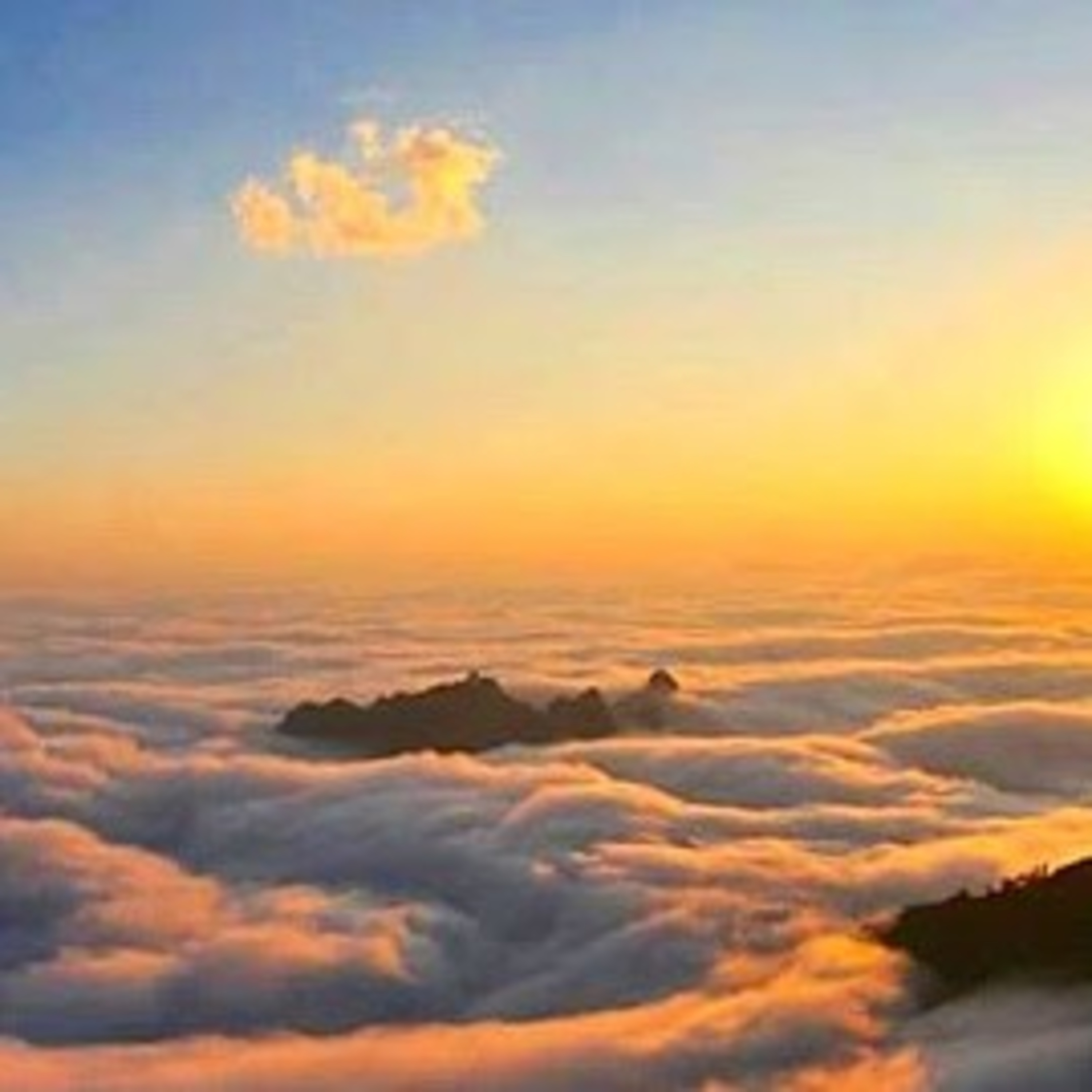 Ai Cũng Từng Là Một Đứa Trẻ