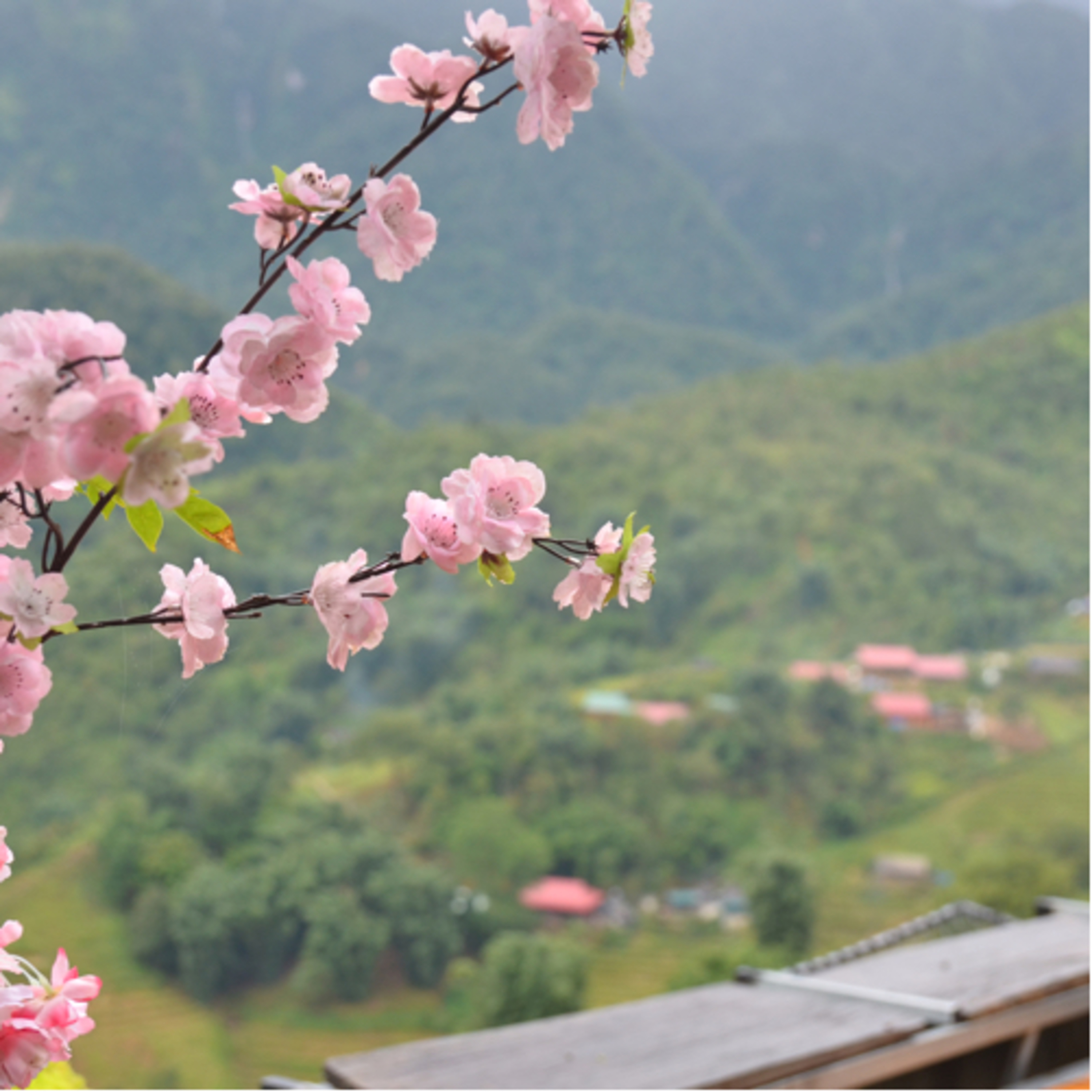 Ai Cũng Từng Là Một Đứa Trẻ