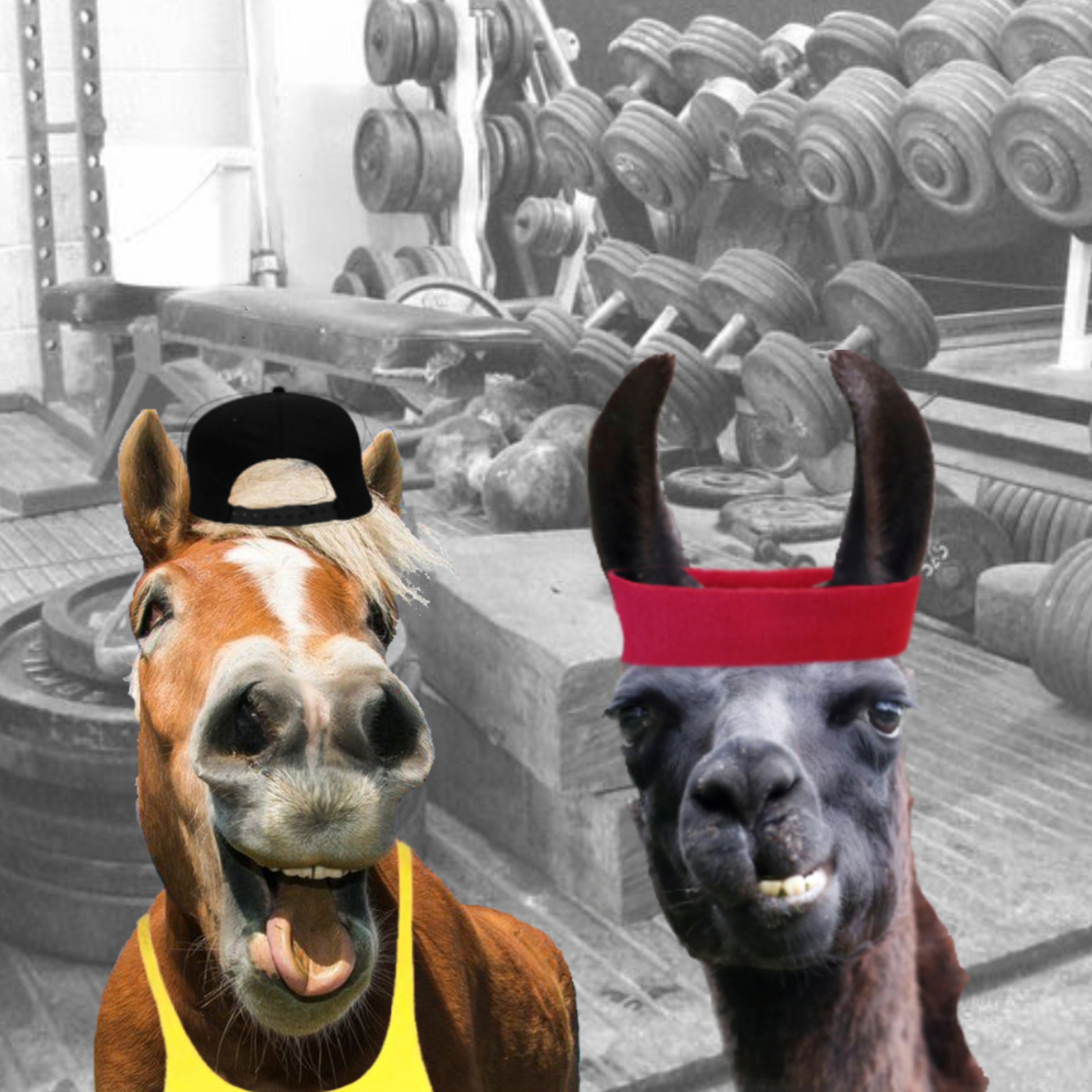 Gym buddy.