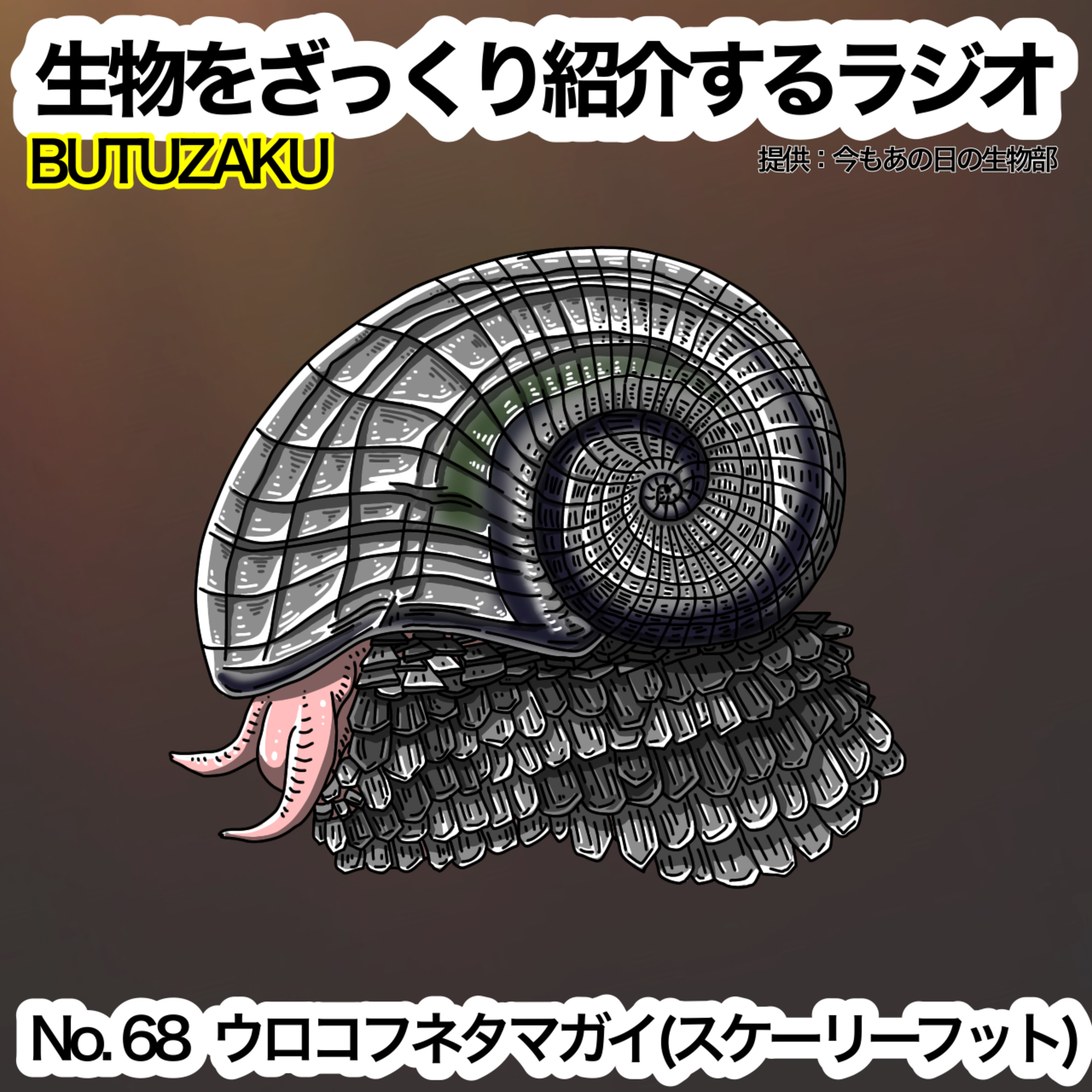 第68話:✉️「ウロコフネタマガイ(スケーリーフット)」をざっくり紹介