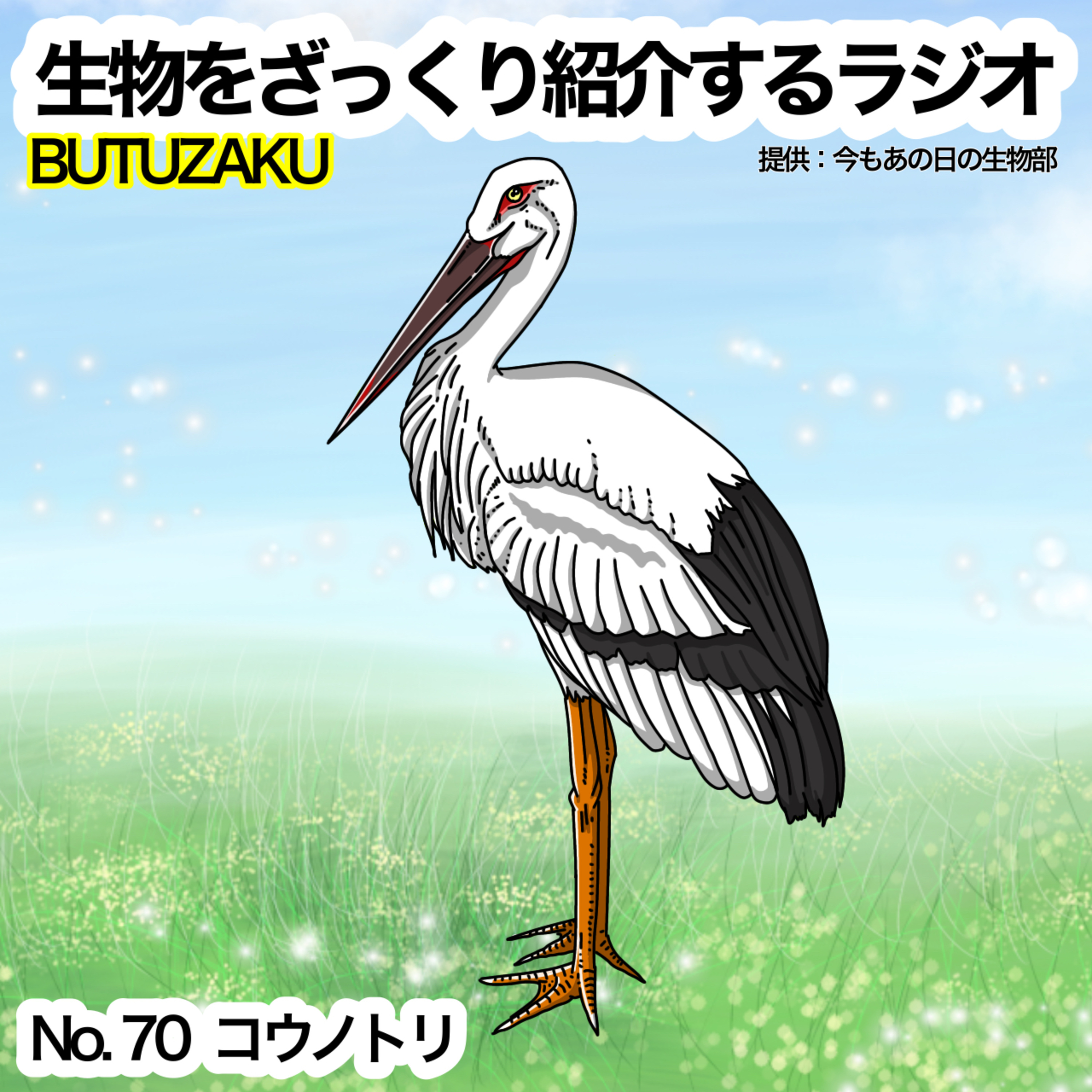 第70話:✉️「コウノトリ」をざっくり紹介