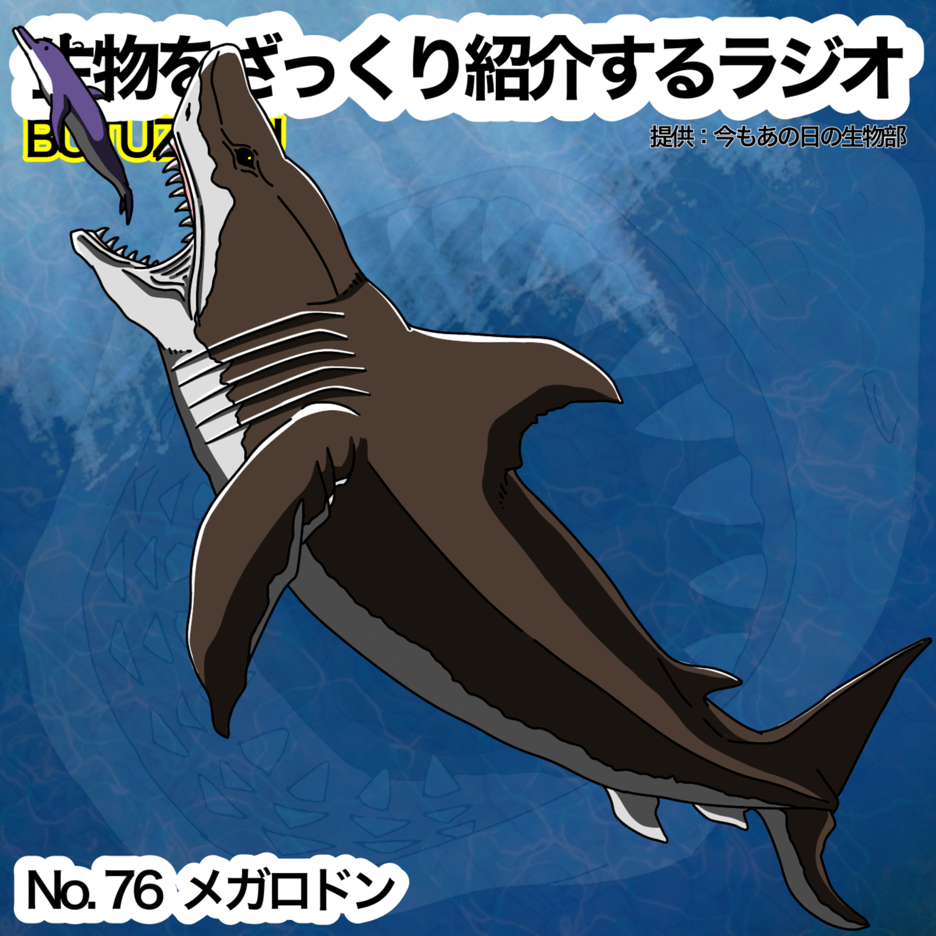 第76話:✉️「メガロドン」をざっくり紹介