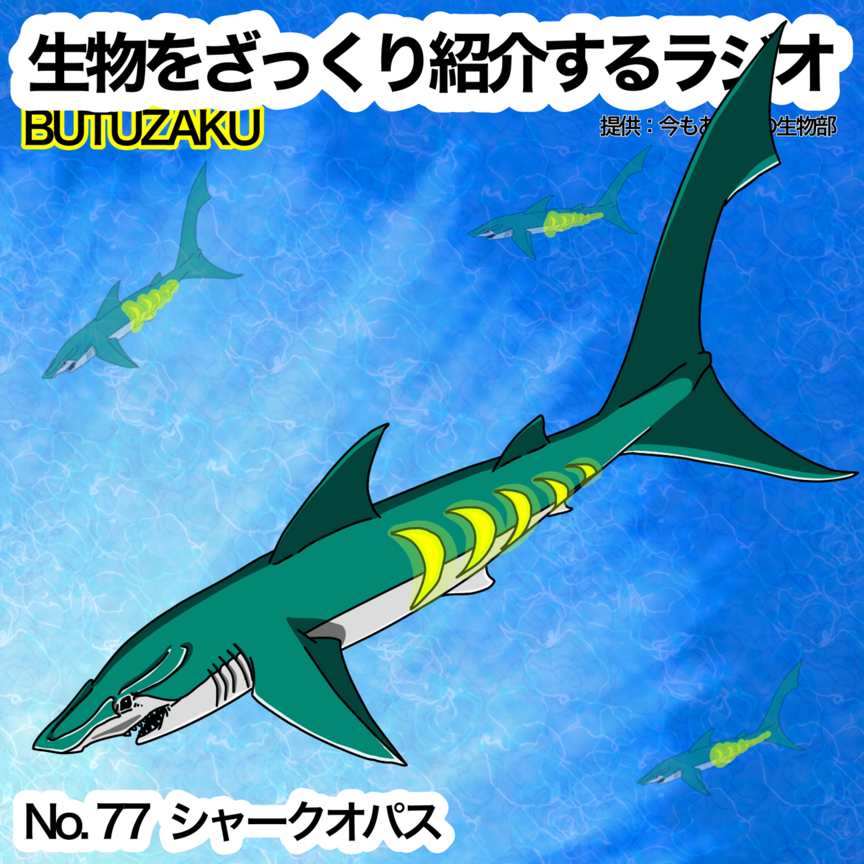 第77話:「シャークオパス」をざっくり紹介