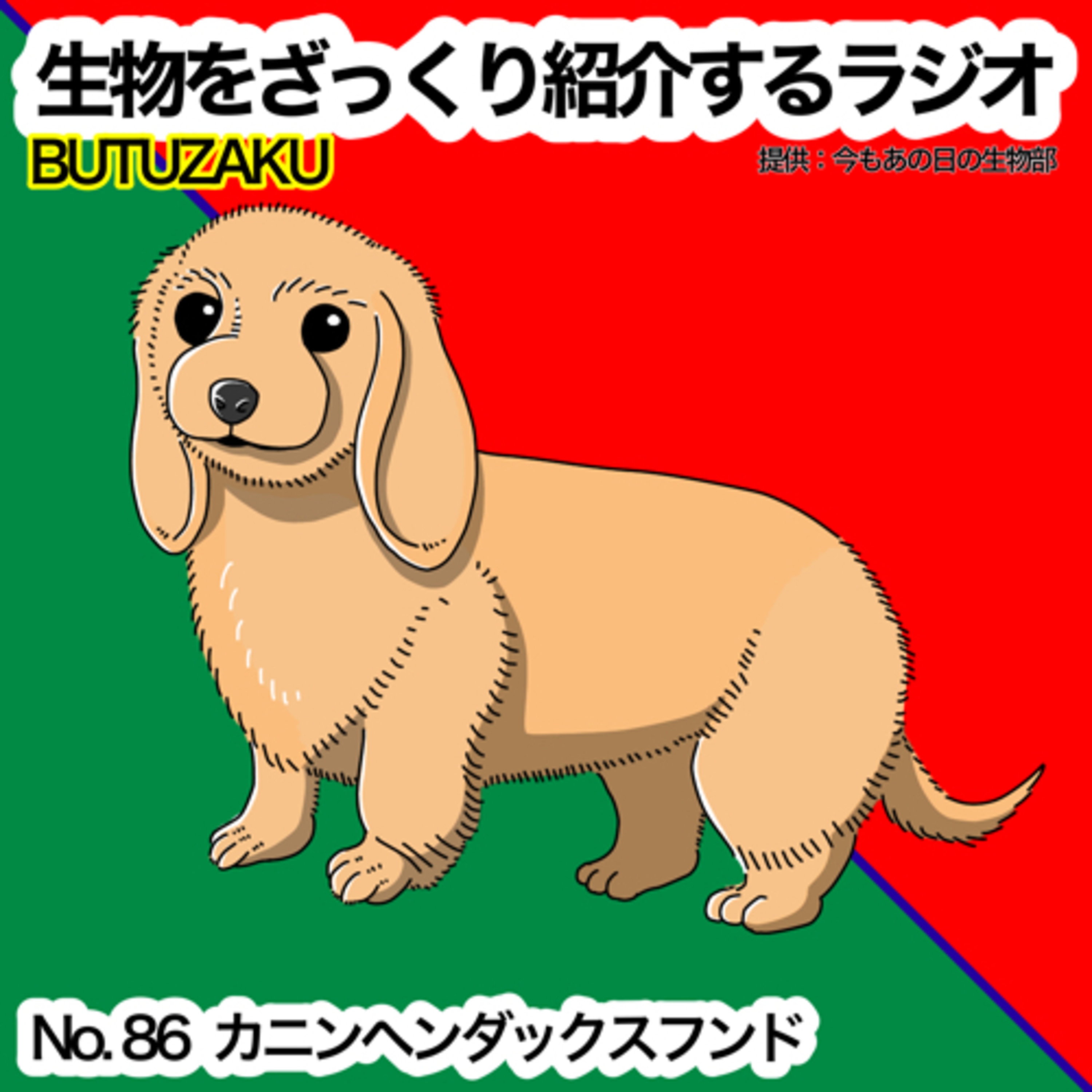 第86話:📮「カニンヘンダックスフンド」をざっくり紹介