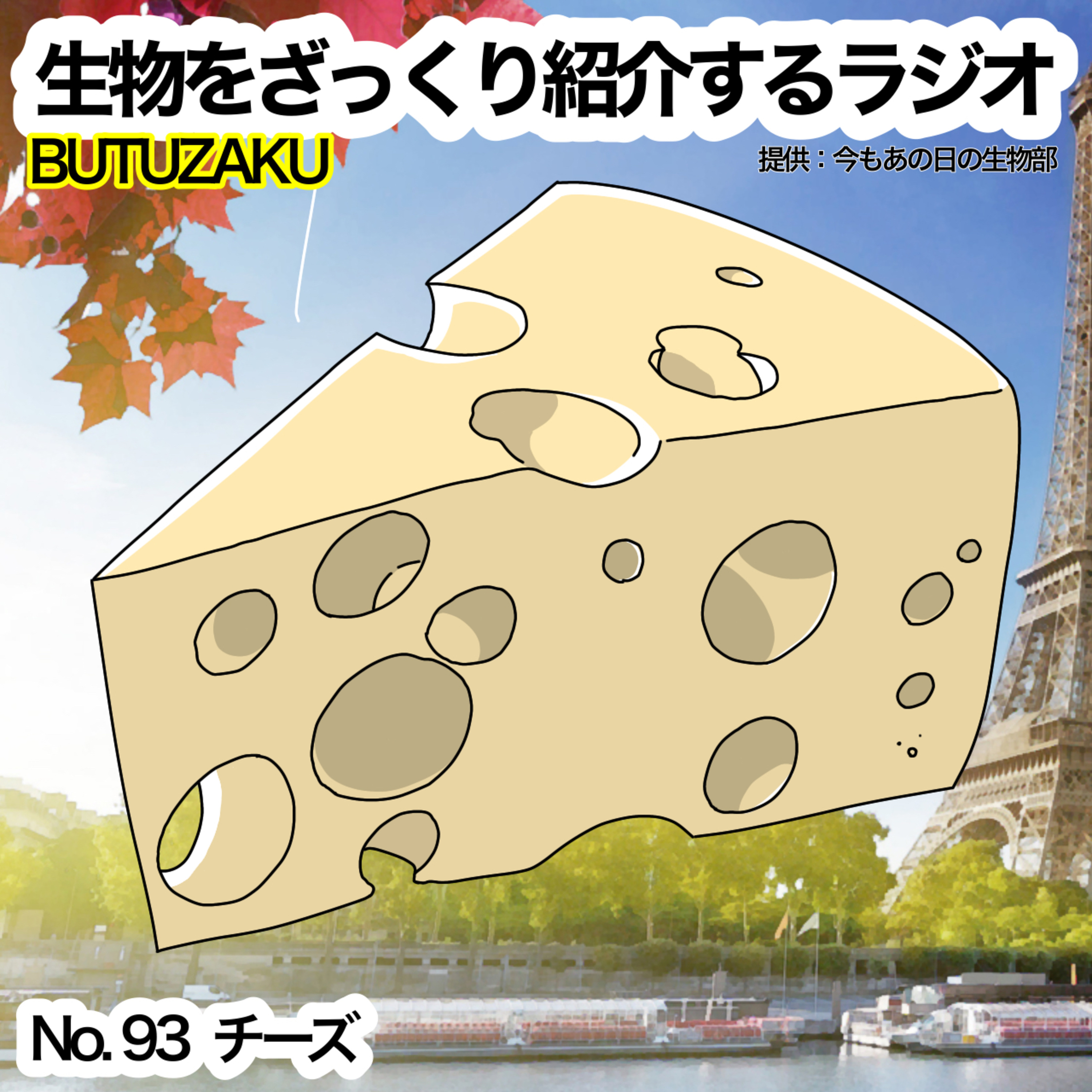 第93話:📮「チーズ」をざっくり紹介