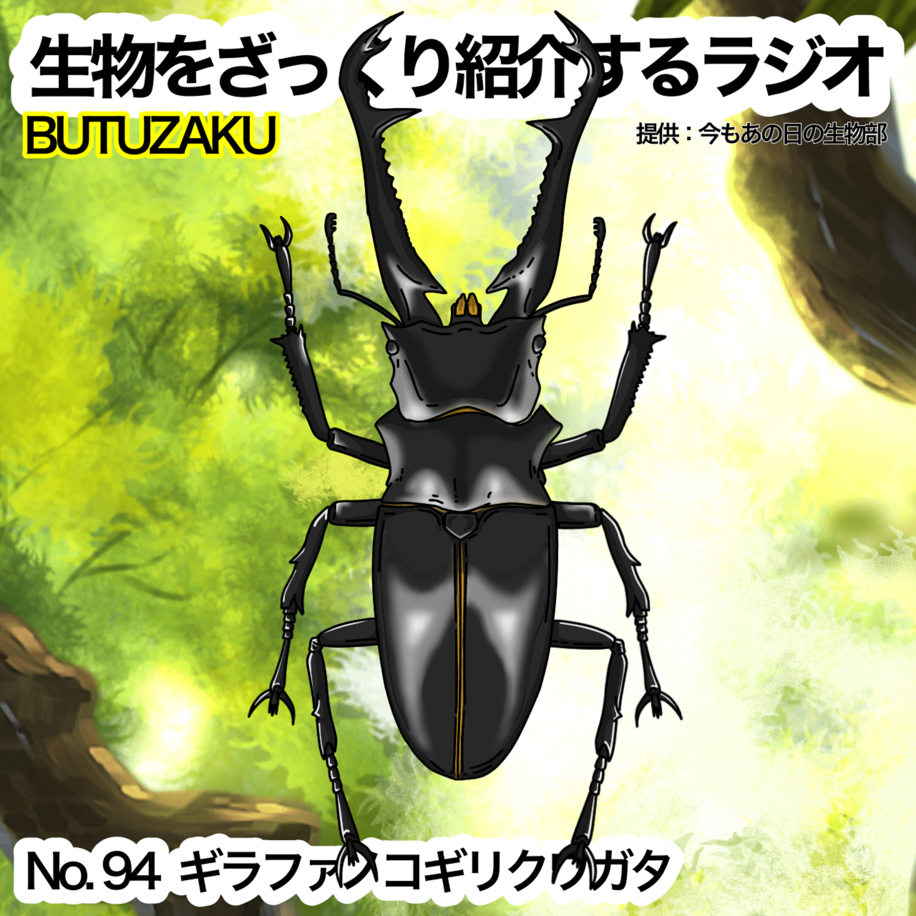 第94話:📮「ギラファノコギリクワガタ」をざっくり紹介
