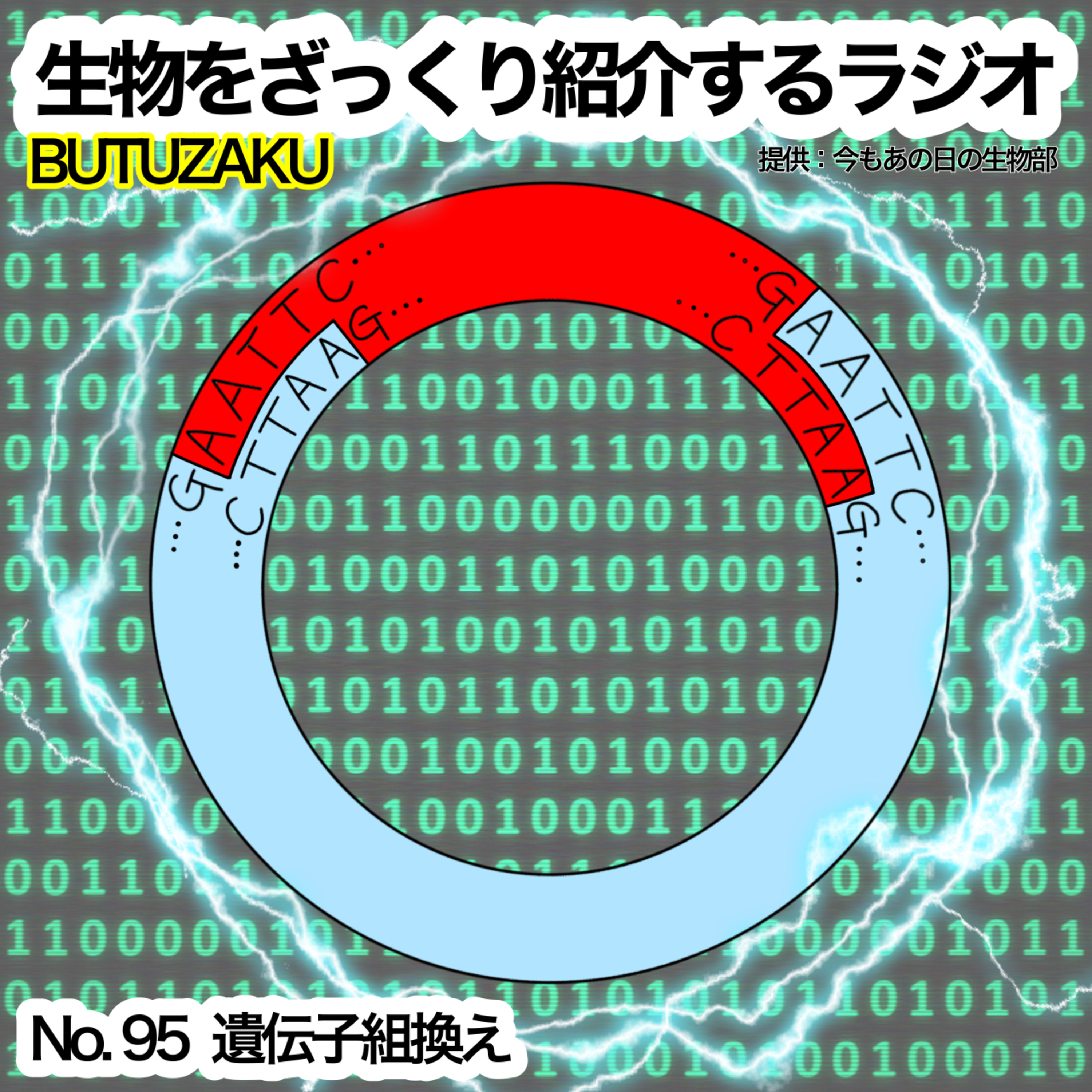 第95話:✉️「遺伝子組換え」をざっくり紹介