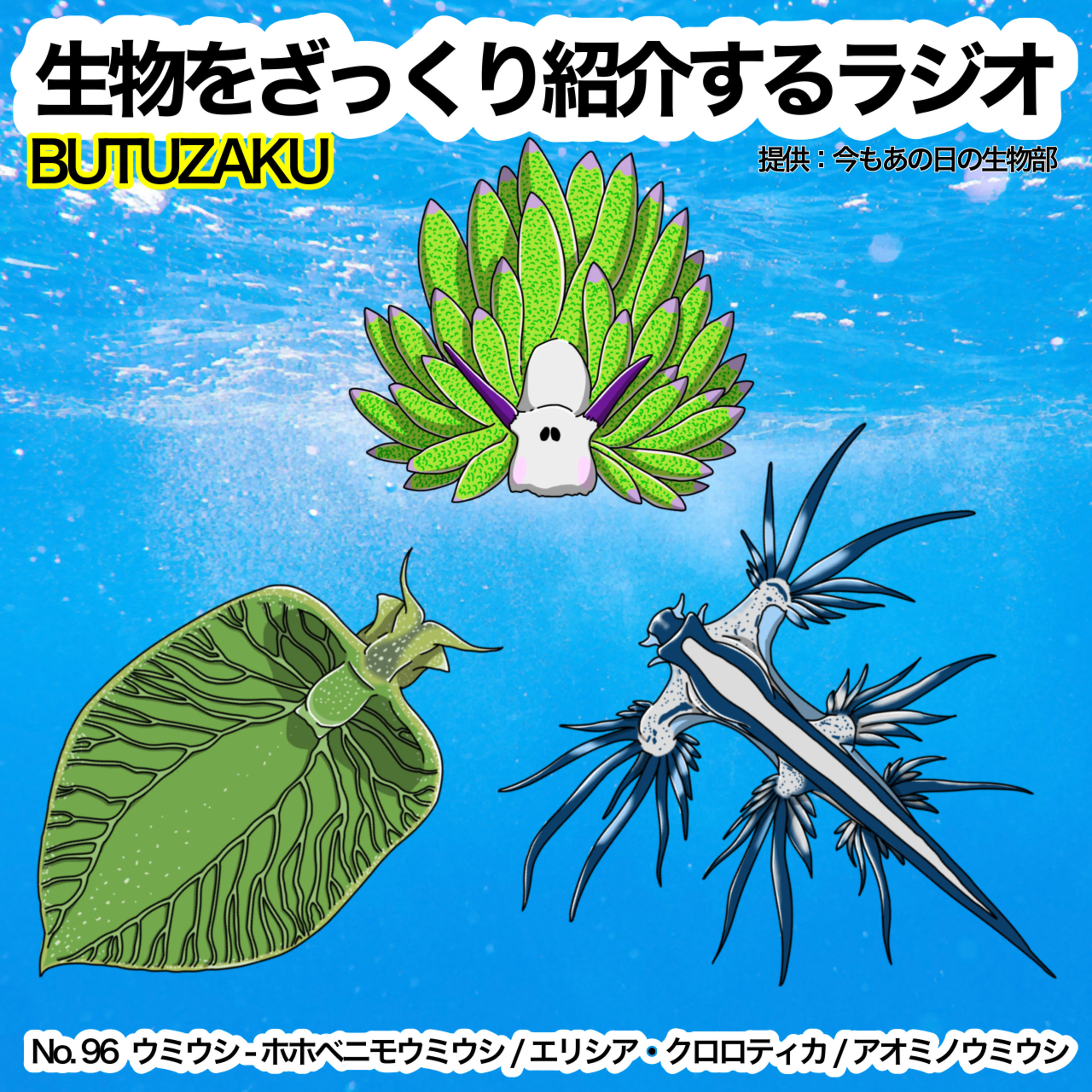 生物をざっくり紹介するラジオ　〜ぶつざく〜