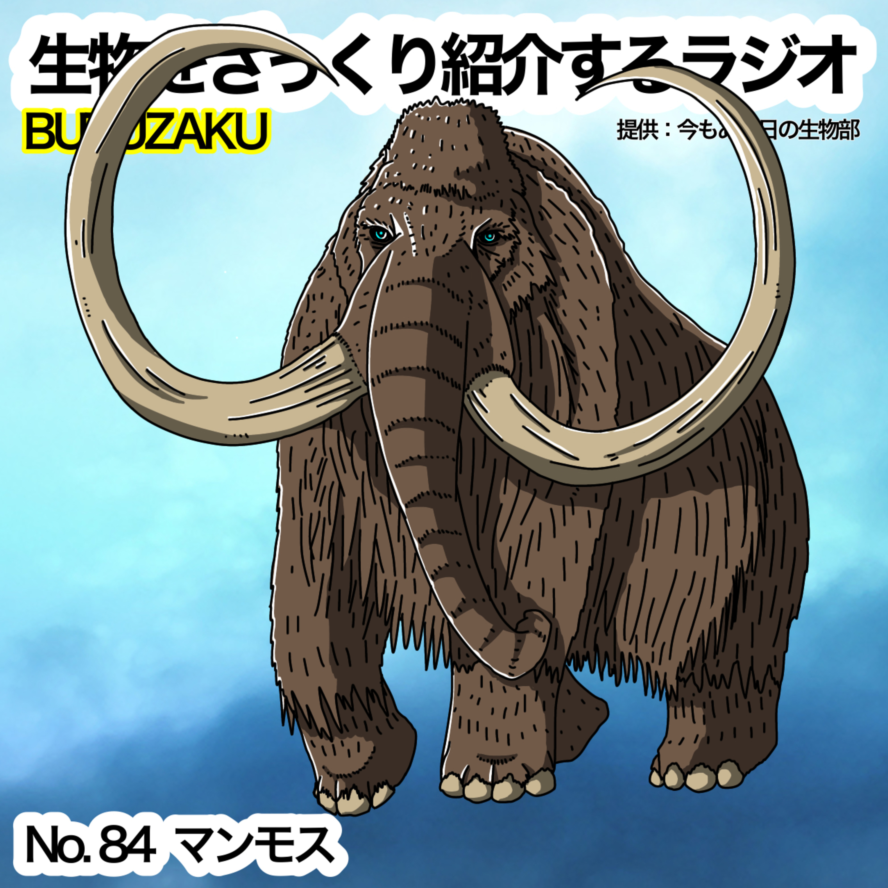 第84話:✉️「マンモス」をざっくり紹介
