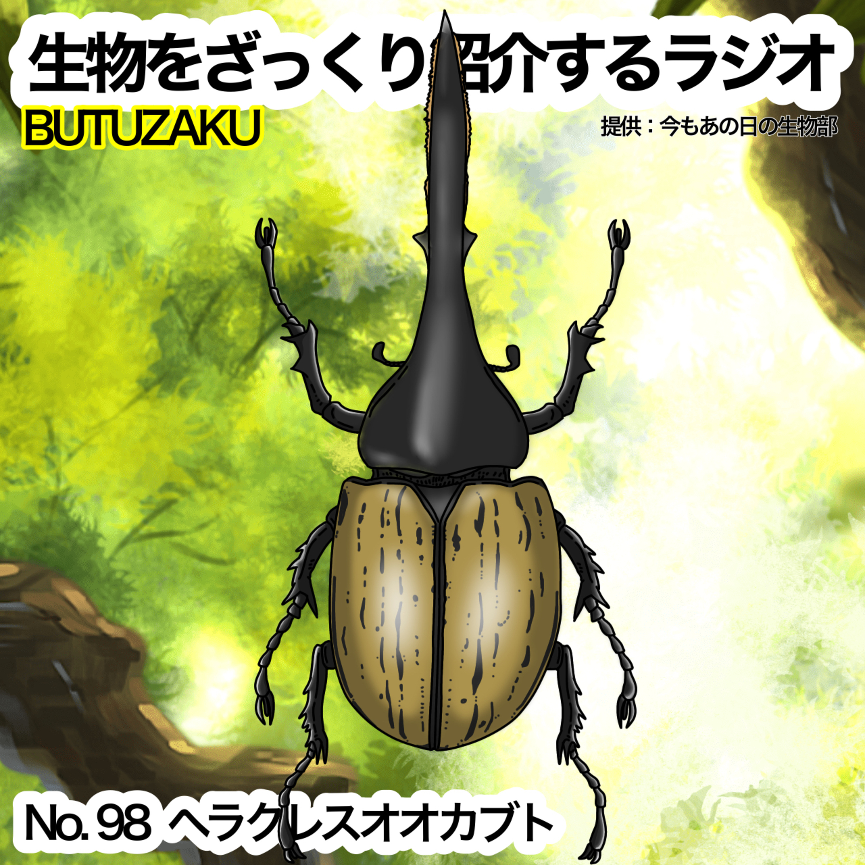 第98話:🐦「ヘラクレスオオカブト」をざっくり紹介
