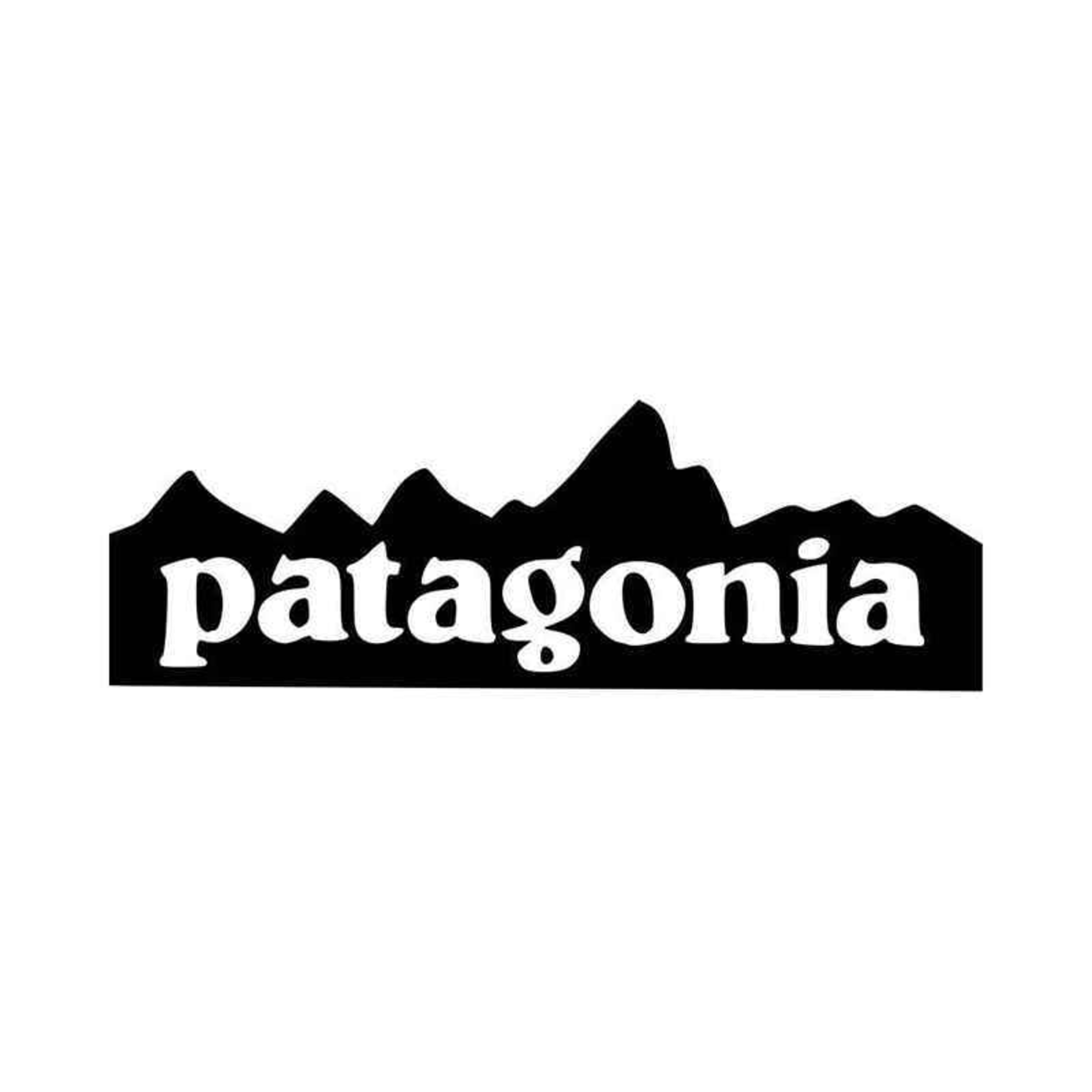 NeuroCast- Patagonia: A Sustainability Giant  episode artwork