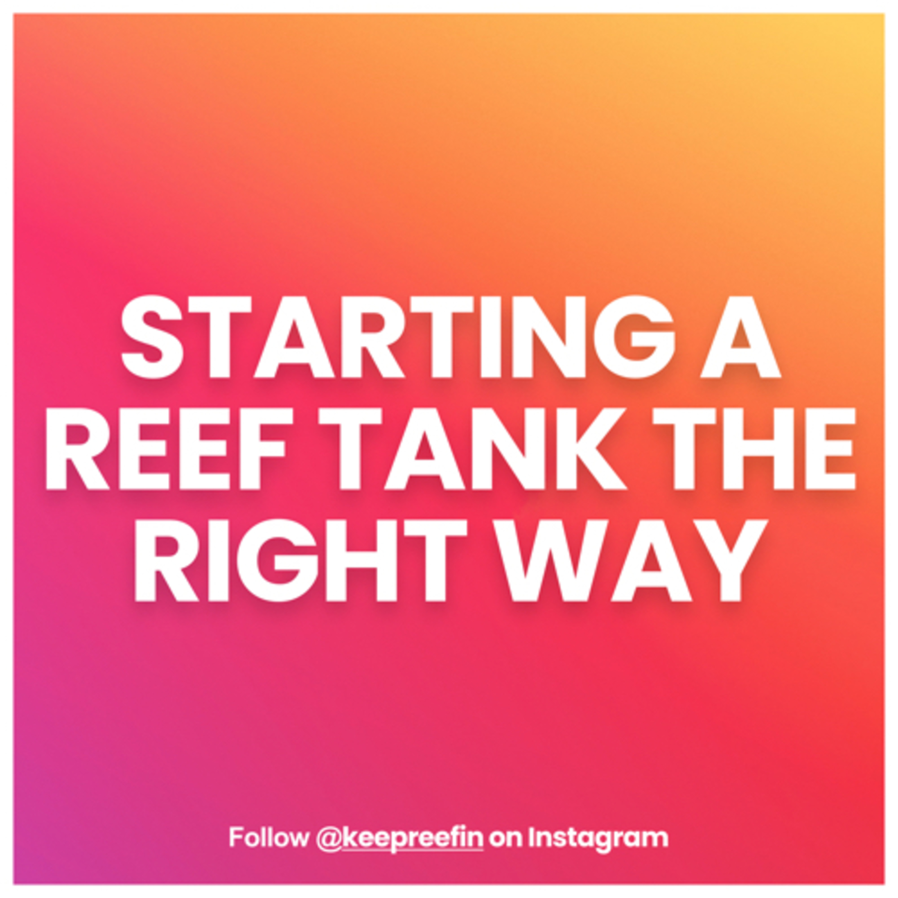 Reff Keeping S1-03// Starting reefing hobby the right way – KeepReefin - Reef ...