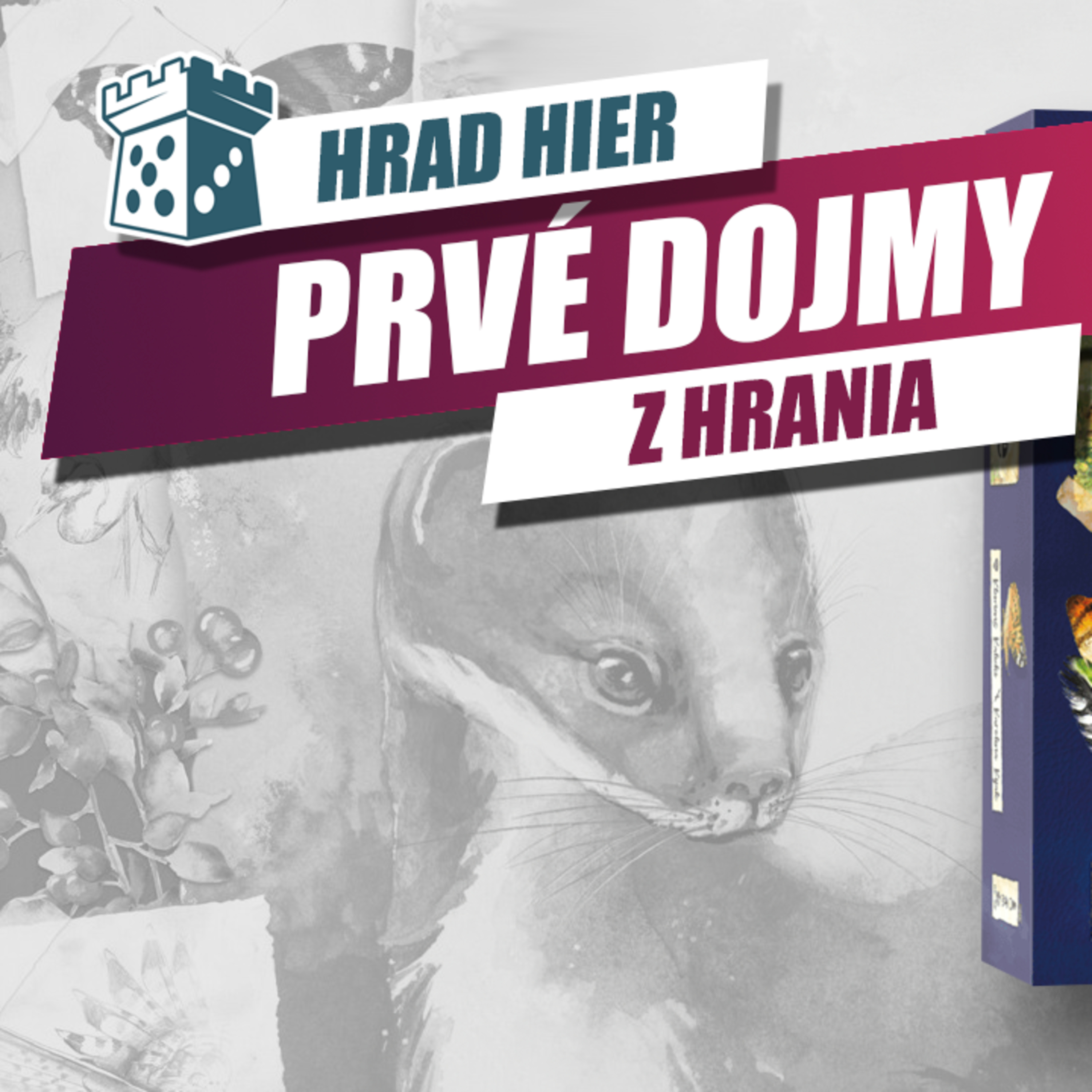 Hrad Hier