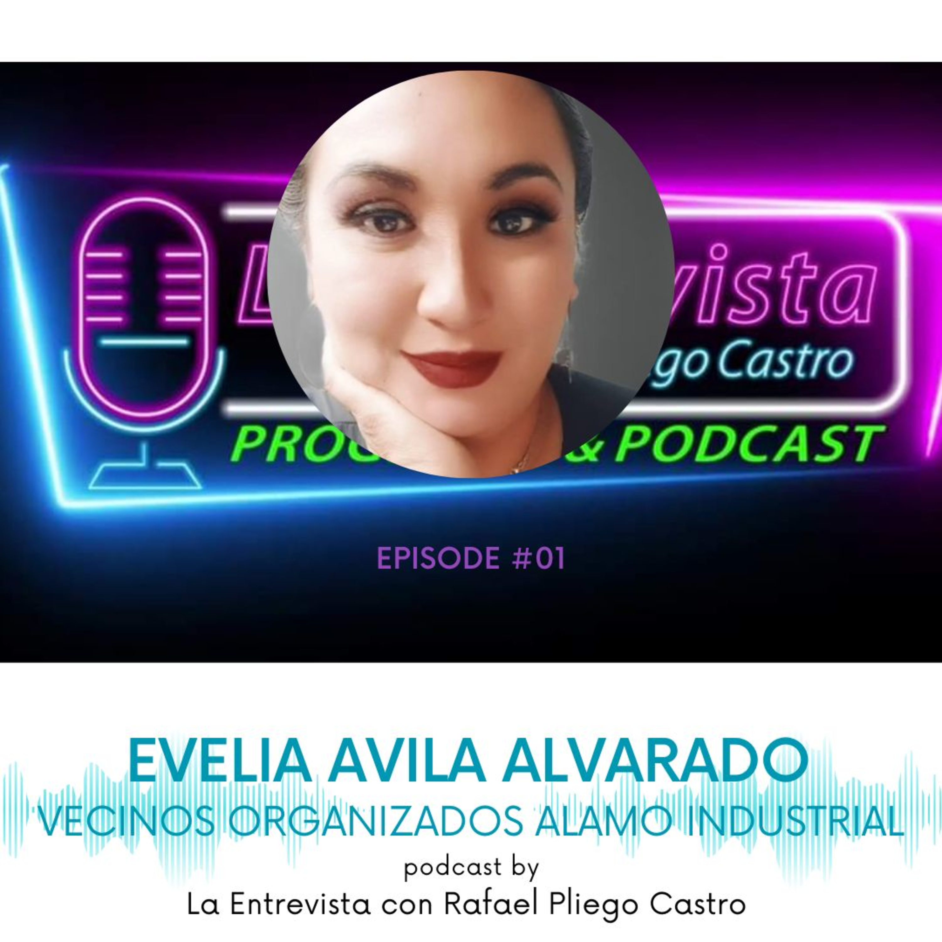 Entrevista con Evelia Avila Alvarado, Asociación Vecinal, Vecinos Organizados Alamo Industrial. episode artwork