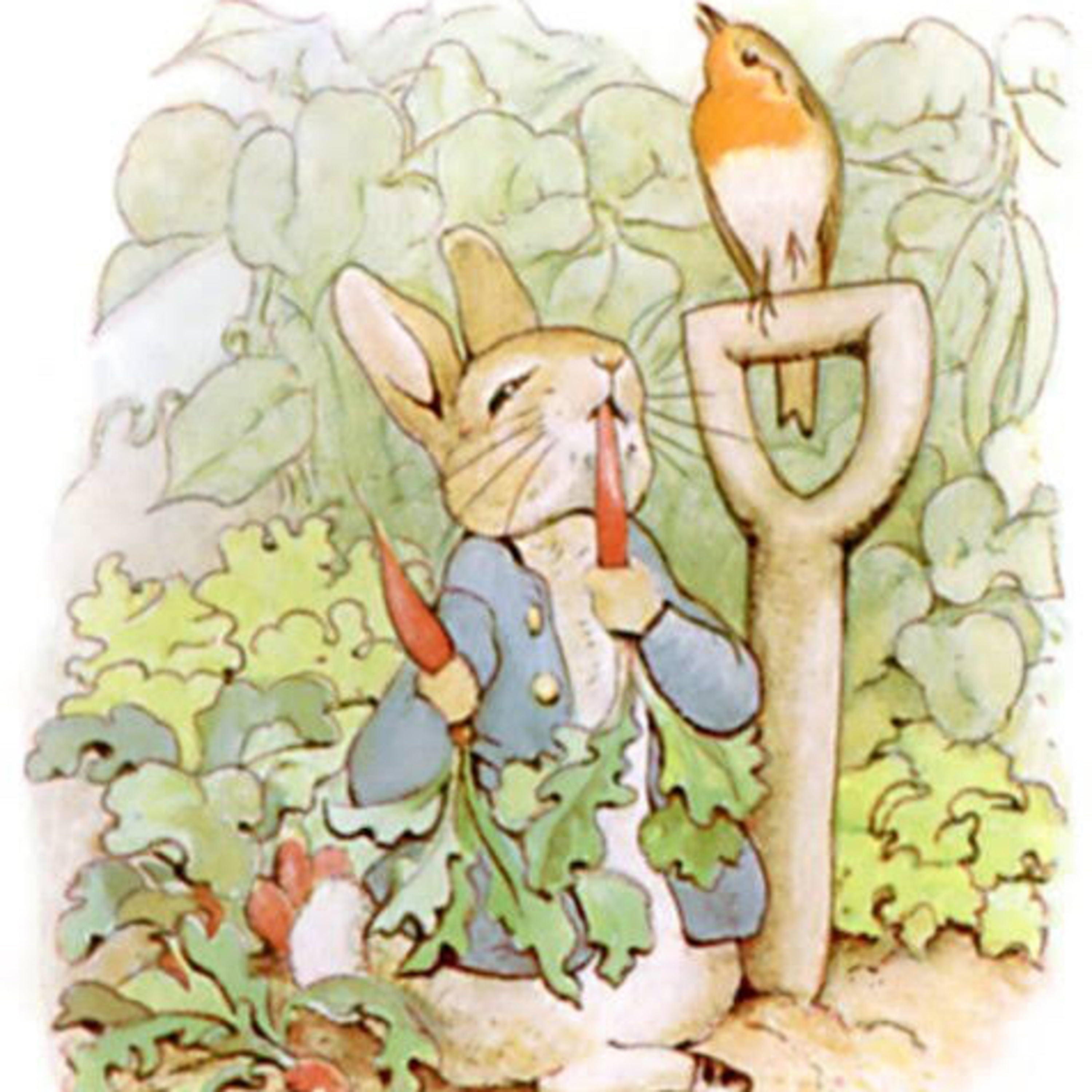Children Book: The Tale of Peter Rabbit