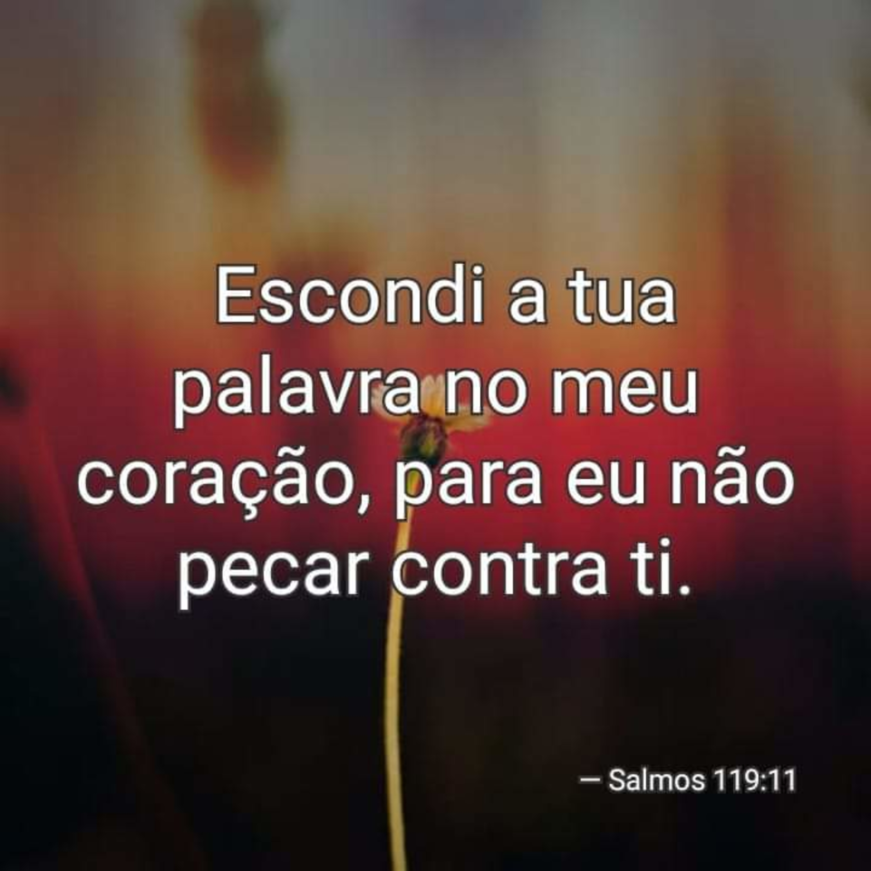 O Temor à Deus episode artwork