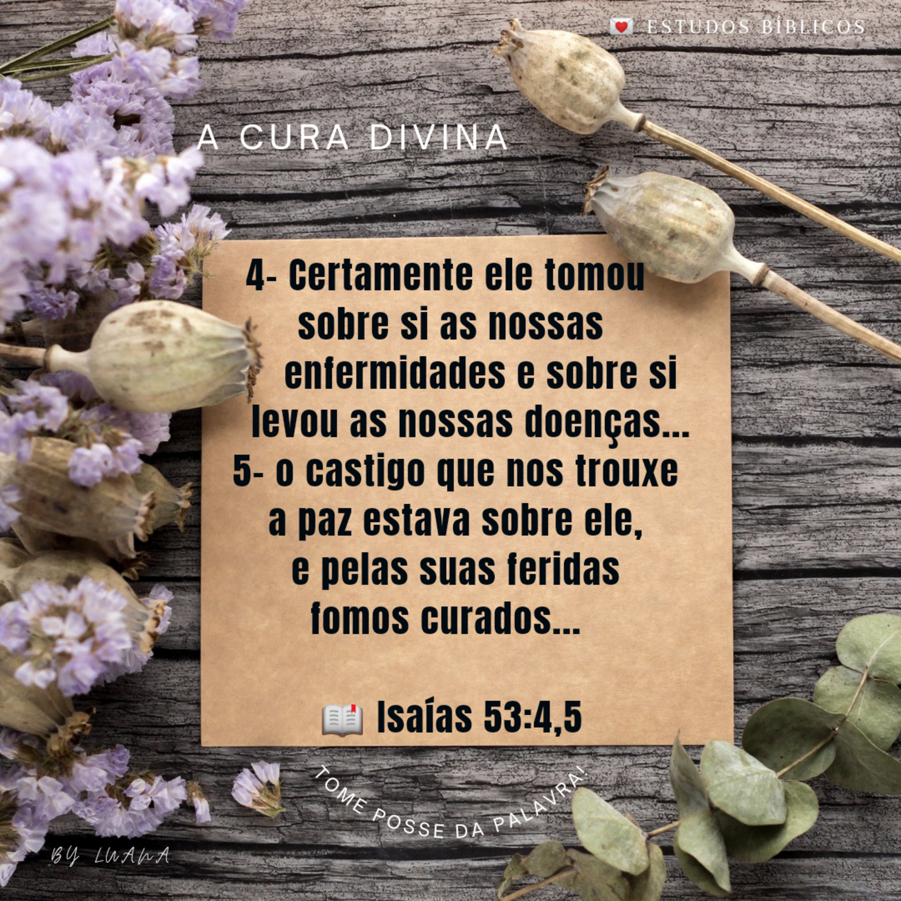  A Cura Divina episode artwork