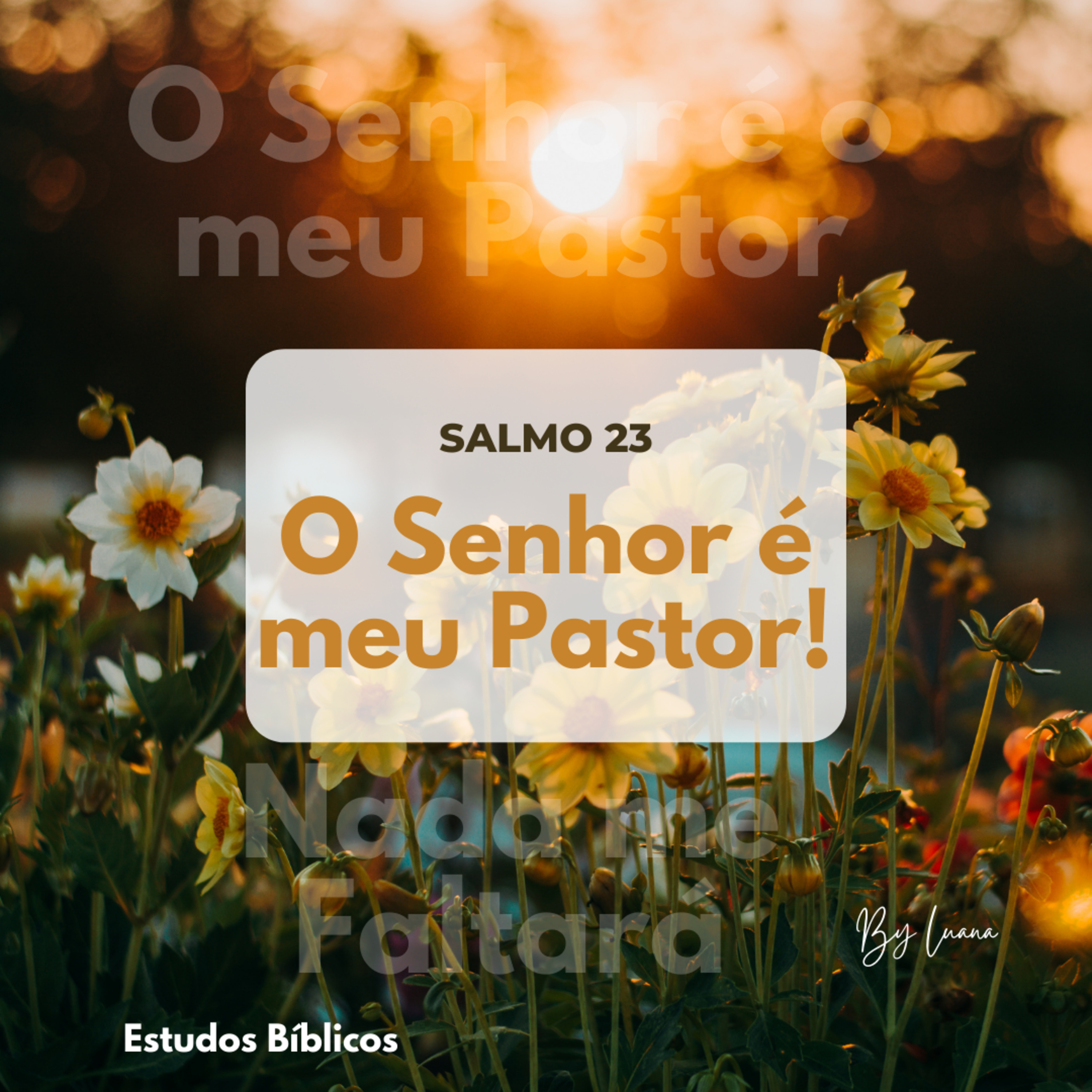 Salmo 23 episode artwork