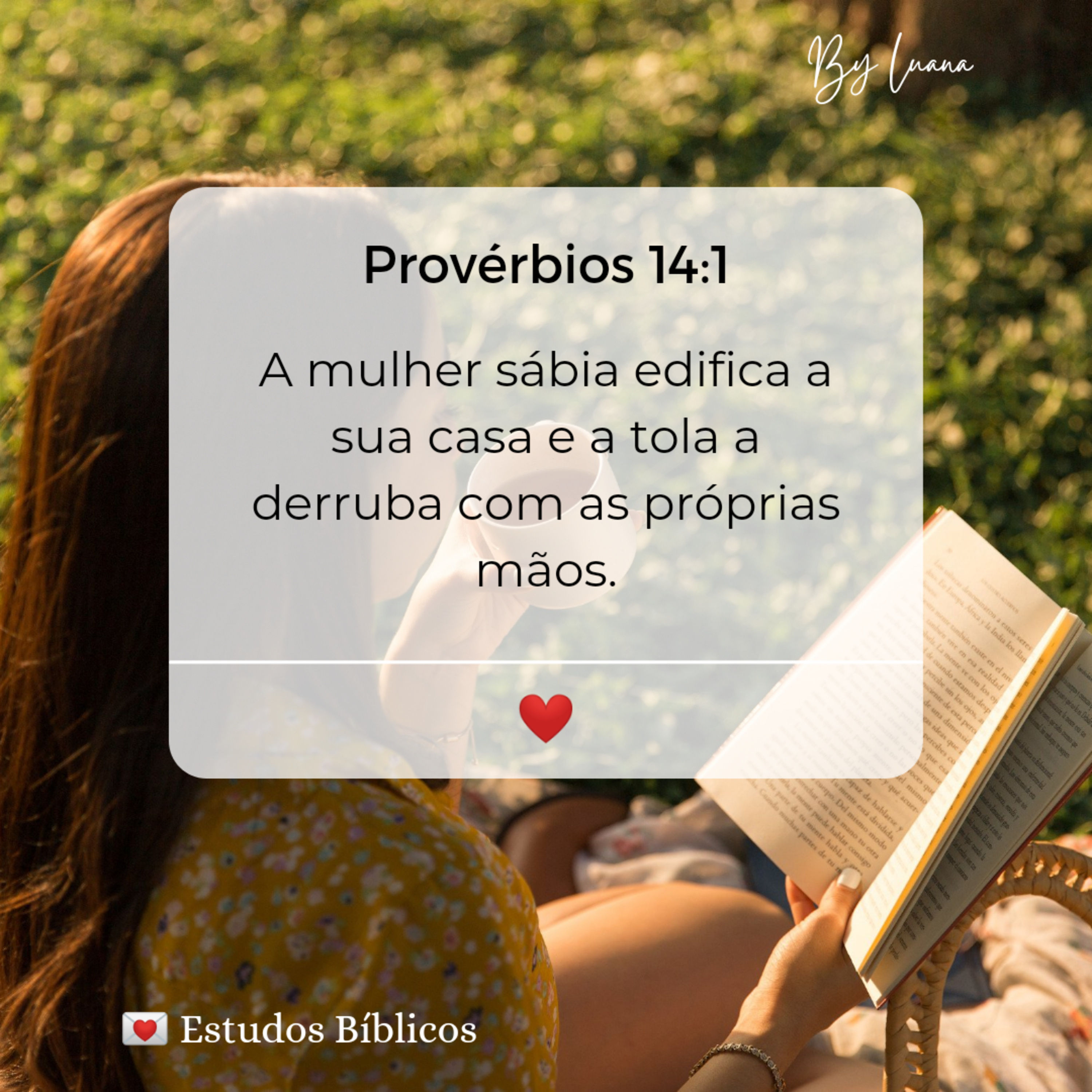 A Mulher Sábia episode artwork