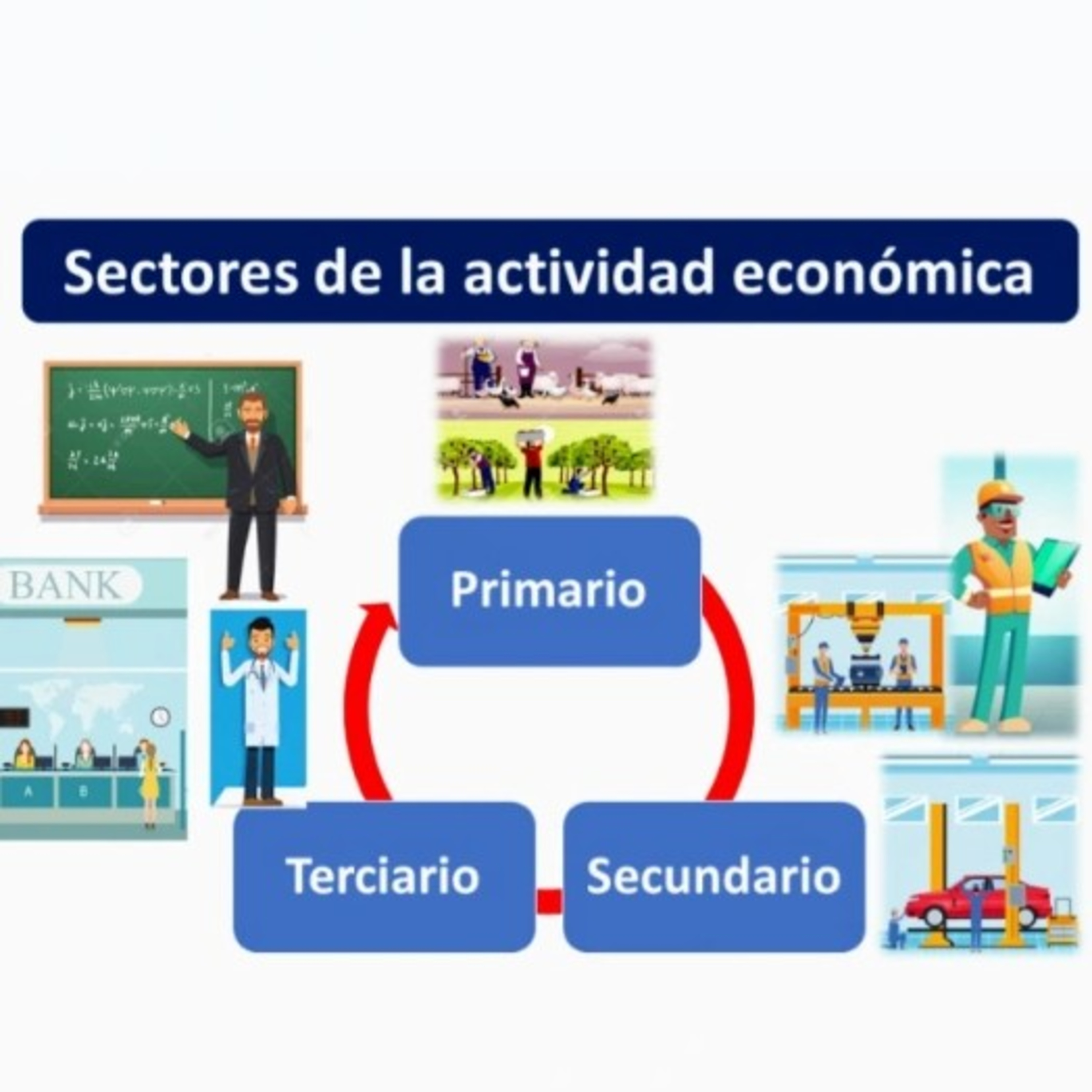 SECTORES DE LA ECONOMÍA.                  Presentado por: María Camila Álvarez Medina
