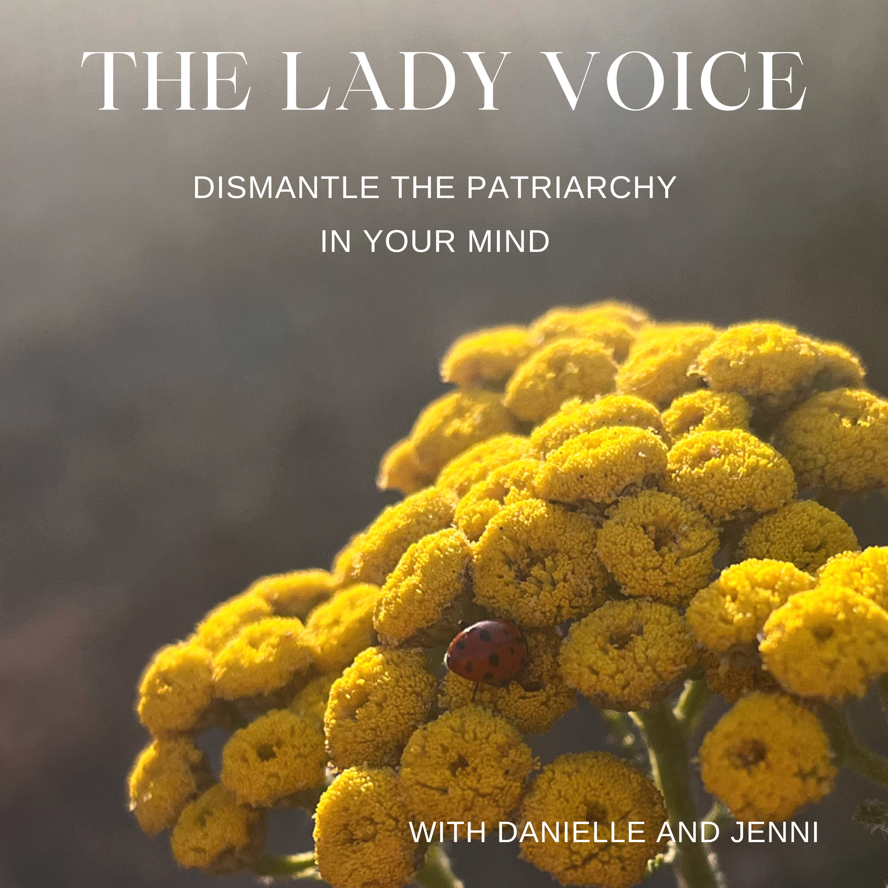 The Lady Voice: Dismantle the Patriarchy in your Mind