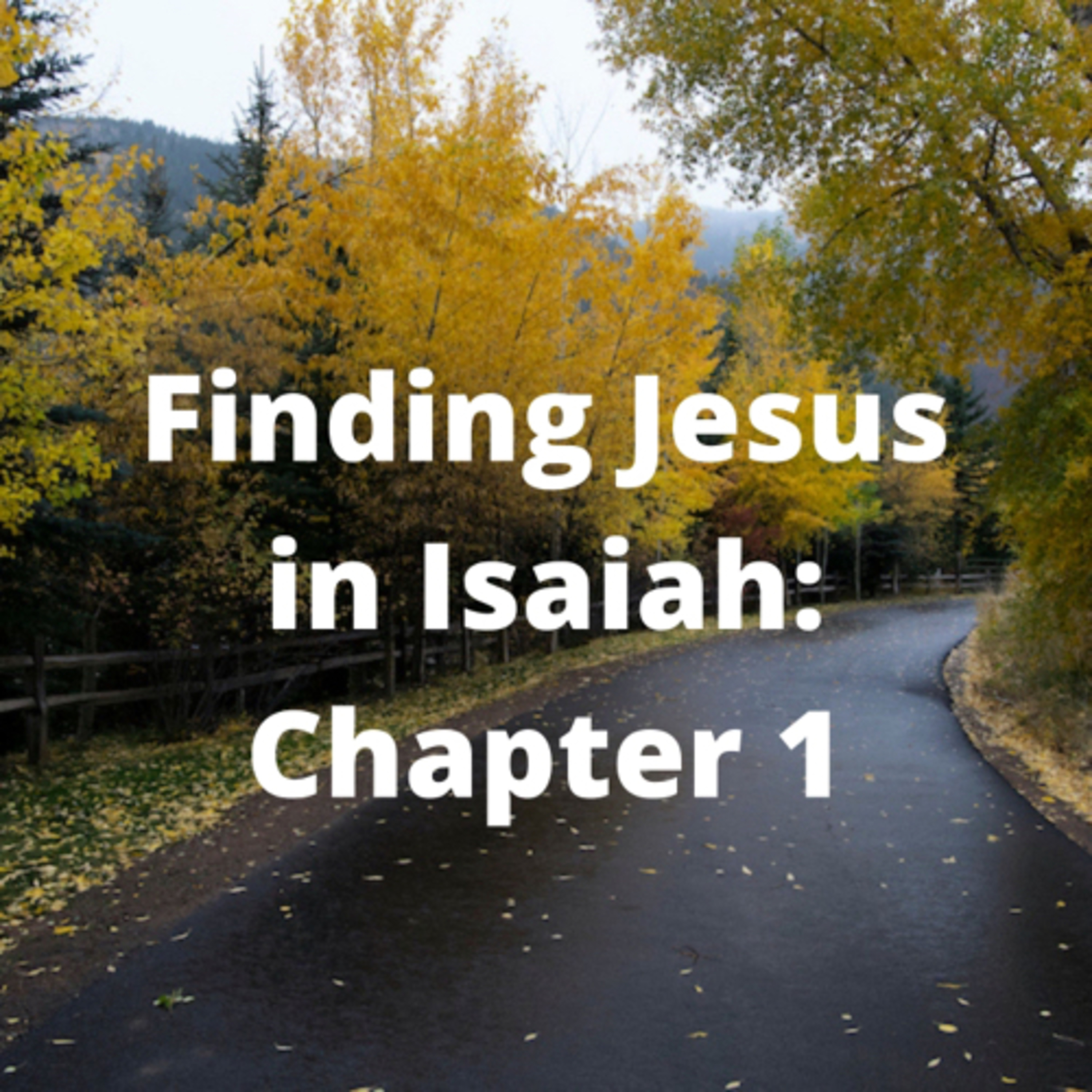 Meet Me in Isaiah