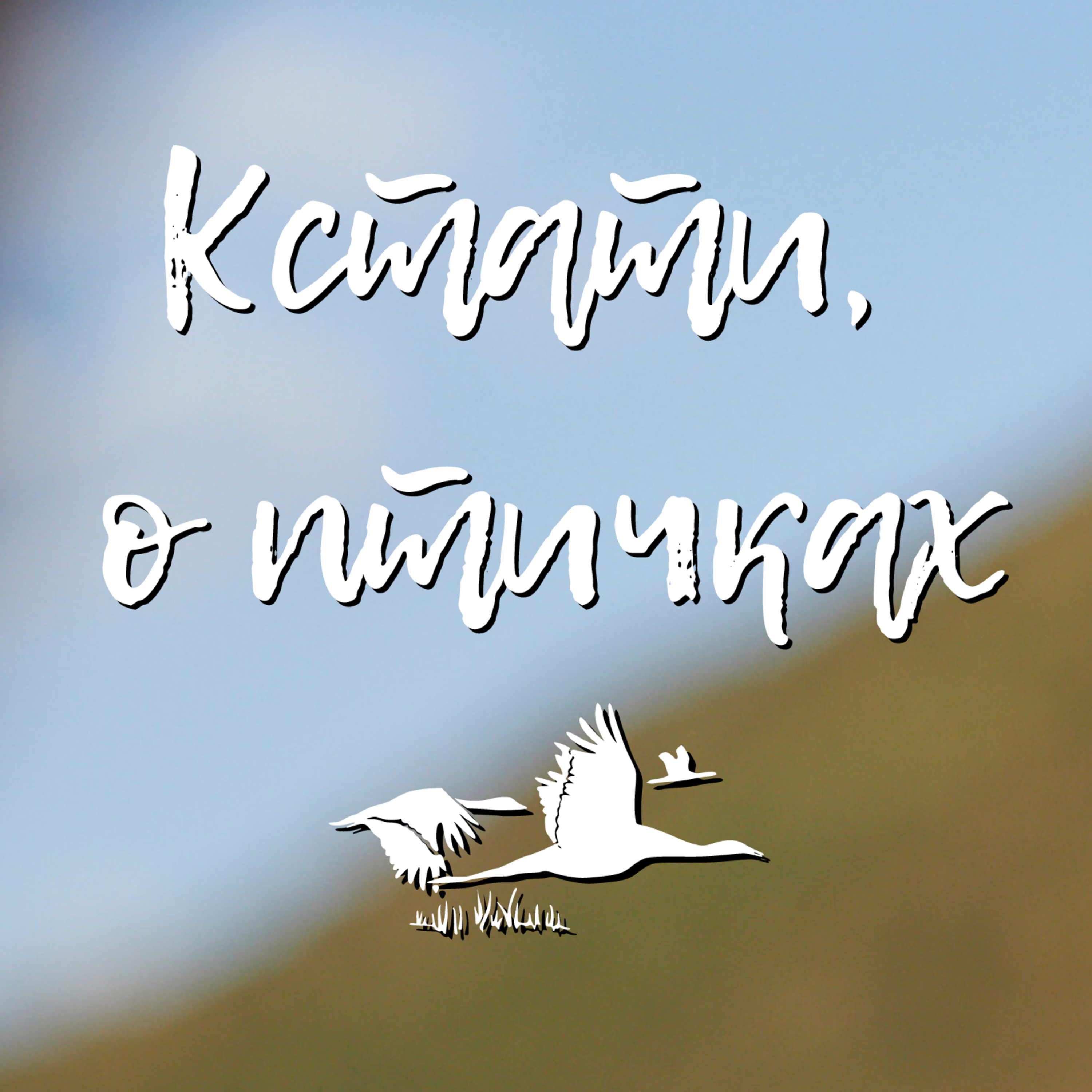 Всемирный день мигрирующих птиц. Что такое eBird. Как помочь ученым