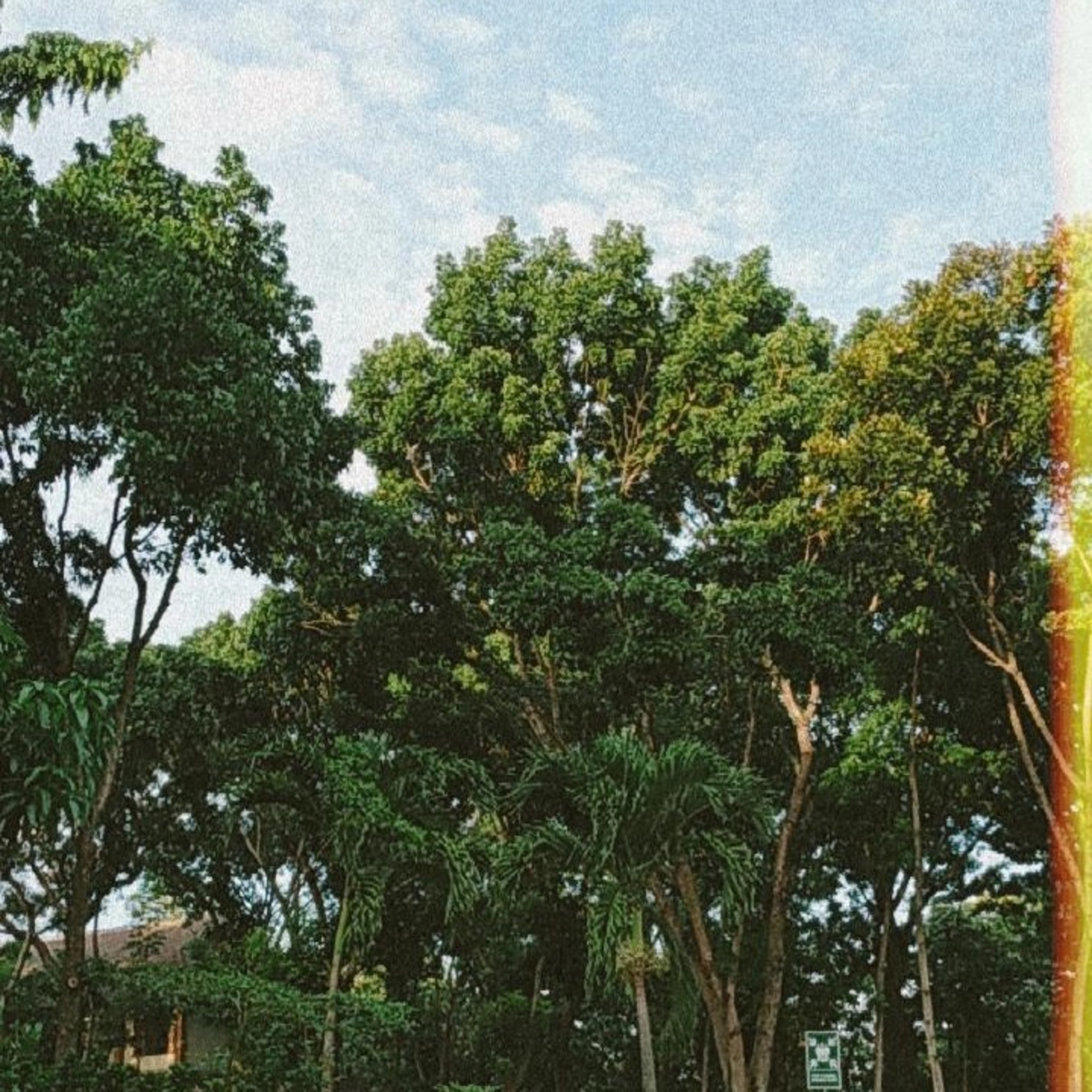 Covid-19 in Indonesia