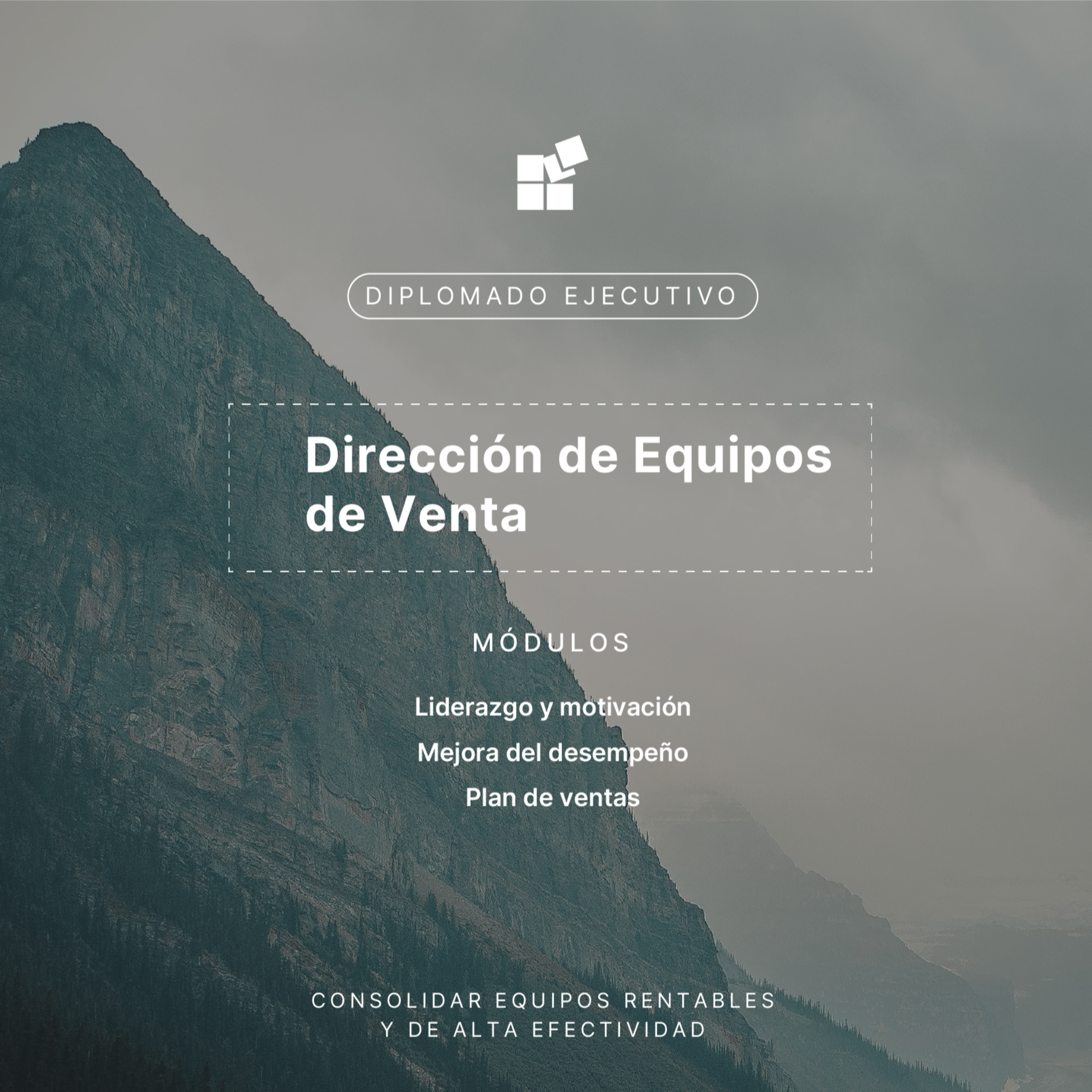 Escuela de Ejecutivos - Fundación DINAMAI