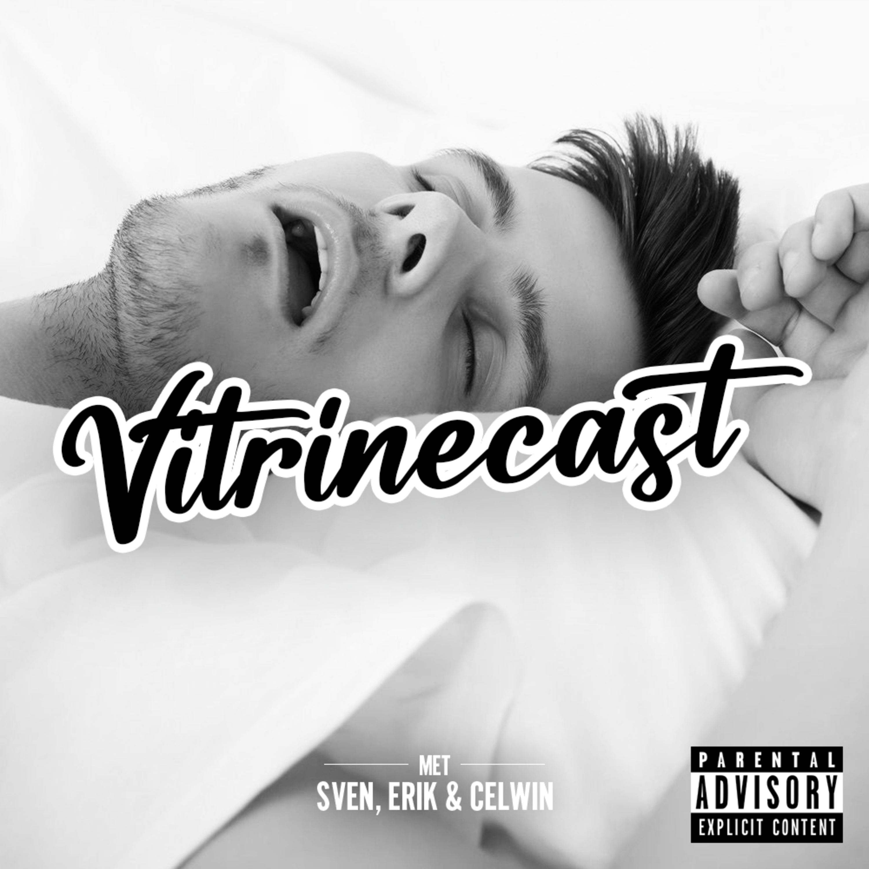 Vitrinecast