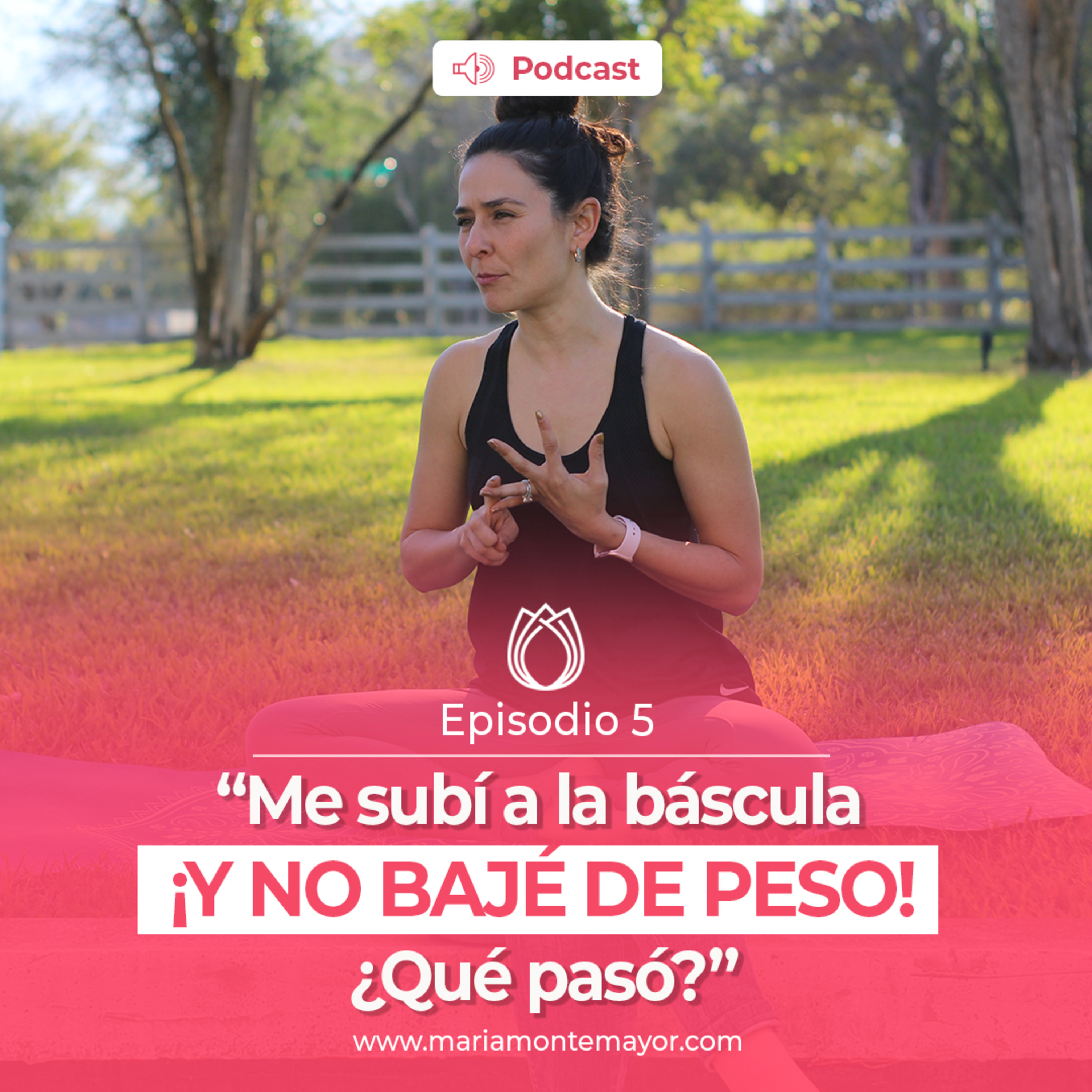 Energía Nutritiva