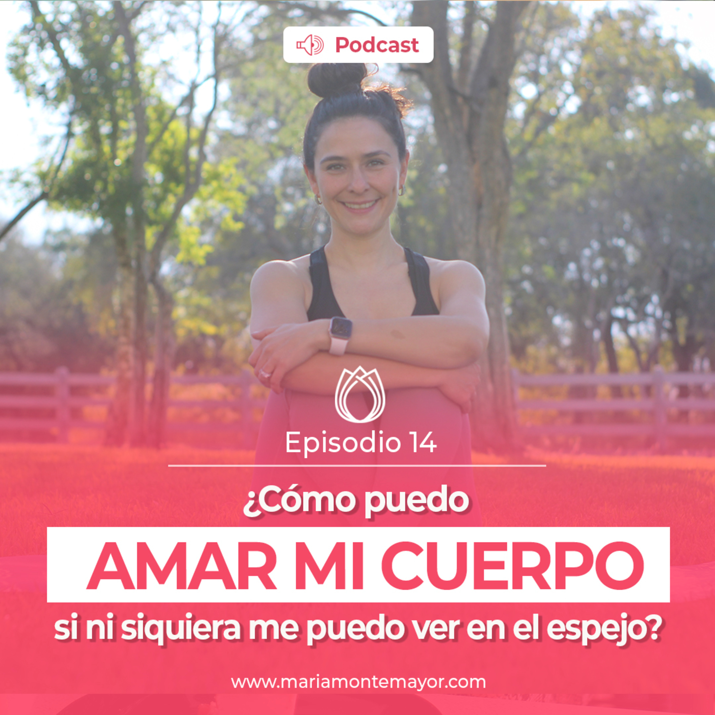 Energía Nutritiva