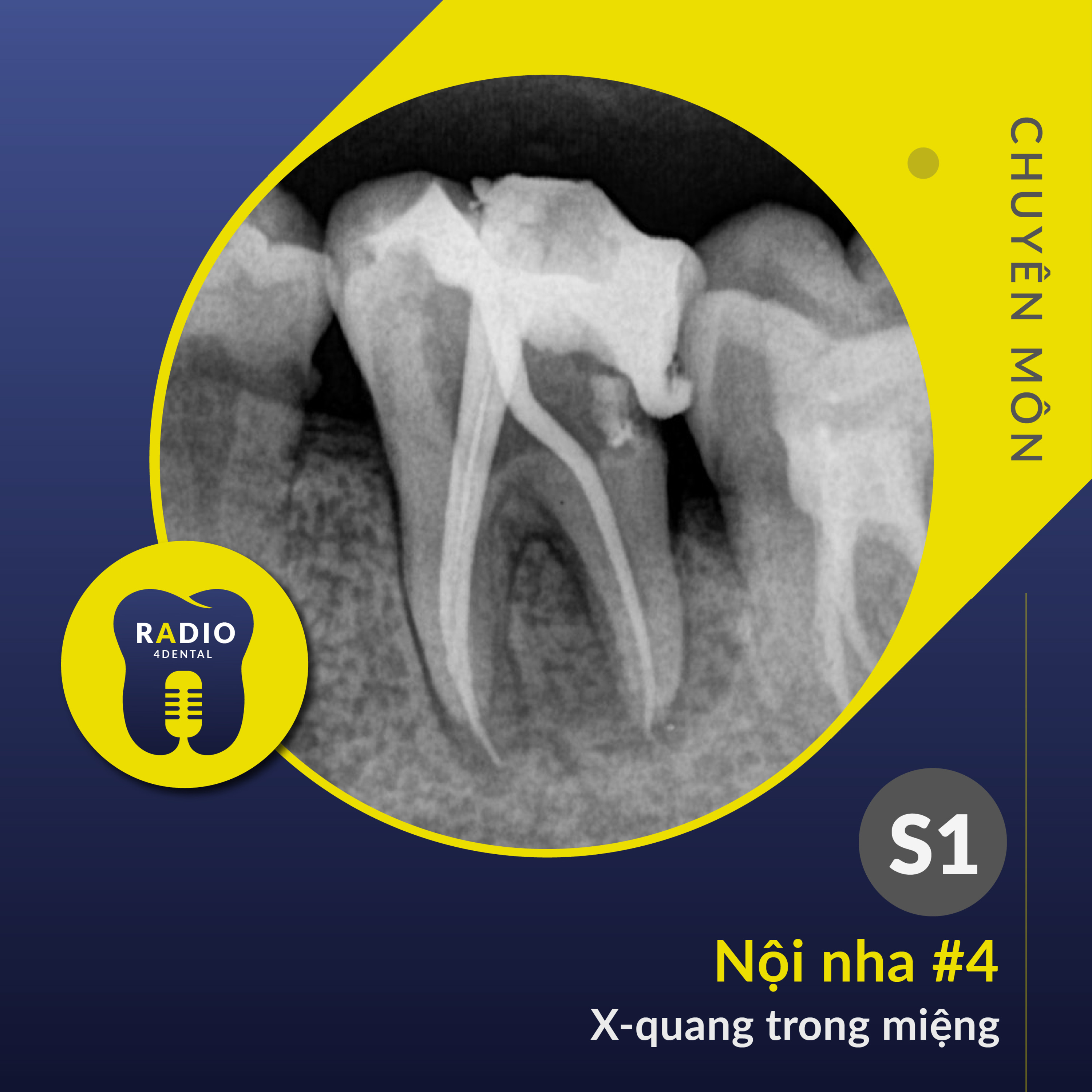 Nha sĩ học bài