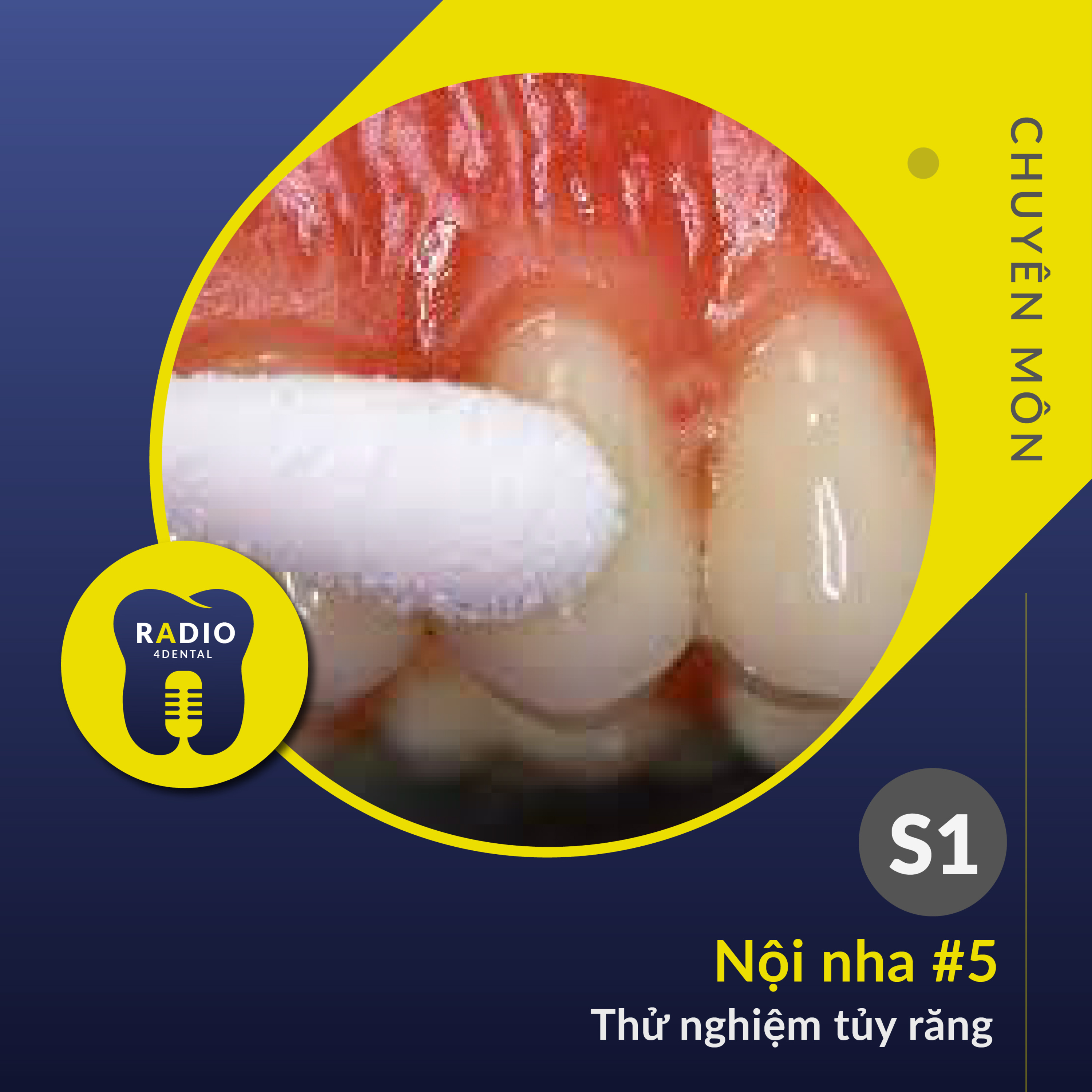 Nha sĩ học bài