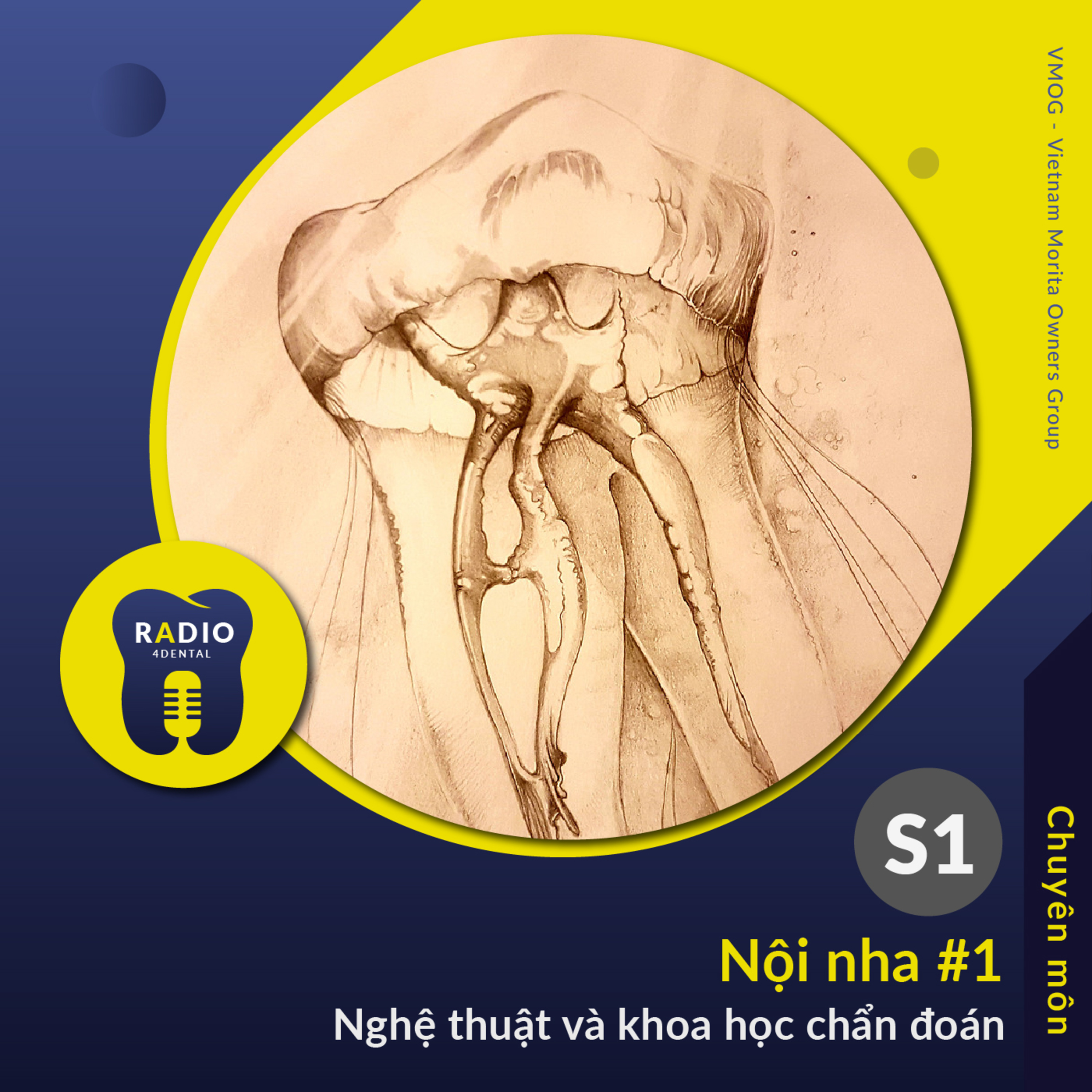 Nha sĩ học bài