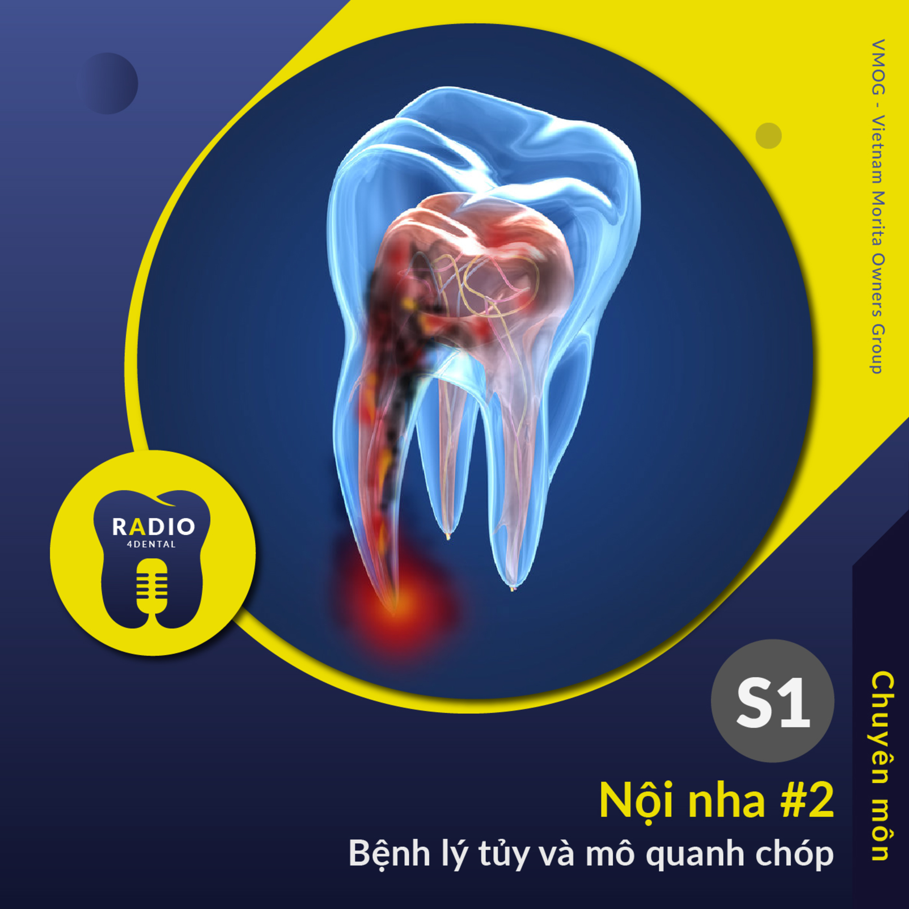 Nha sĩ học bài