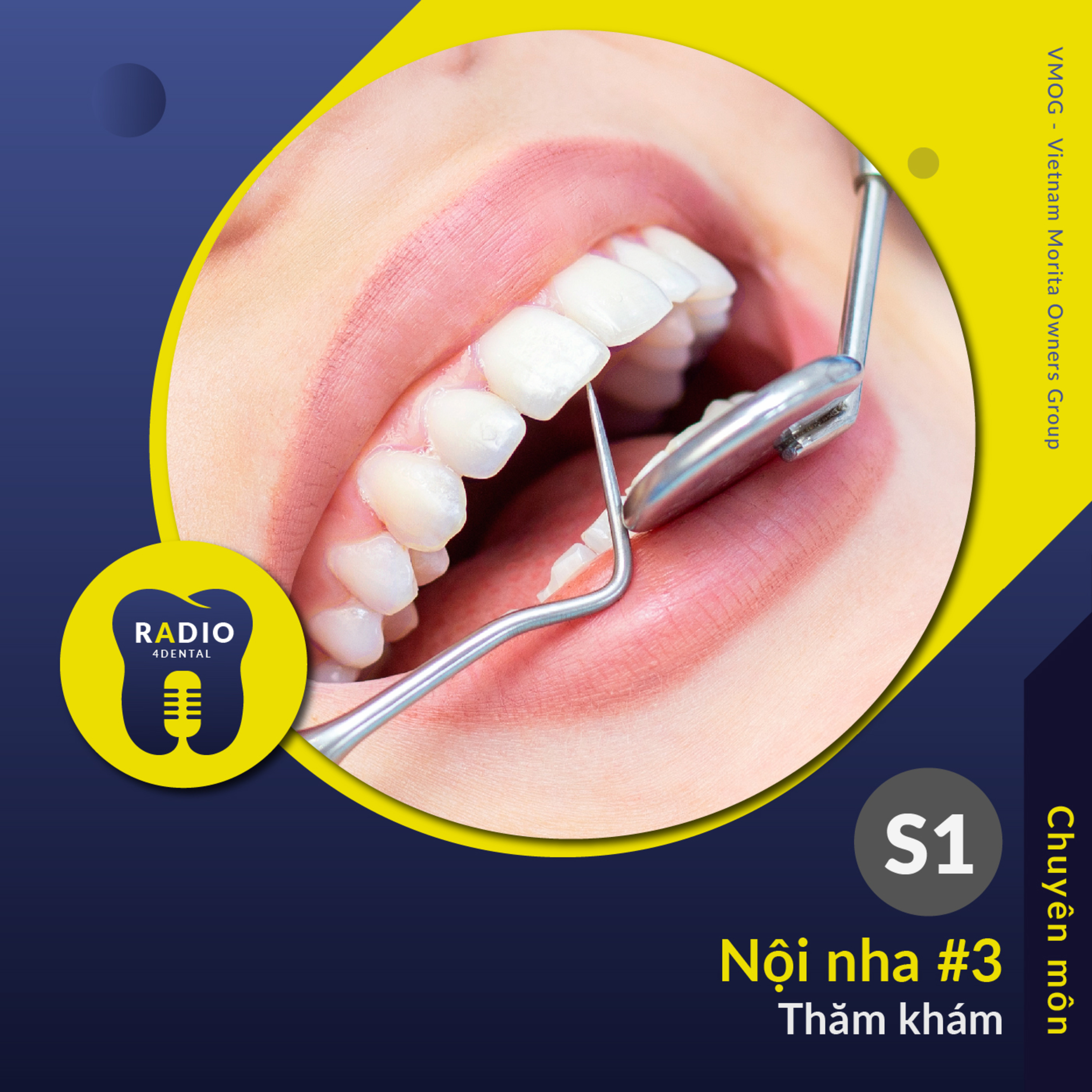 Nha sĩ học bài