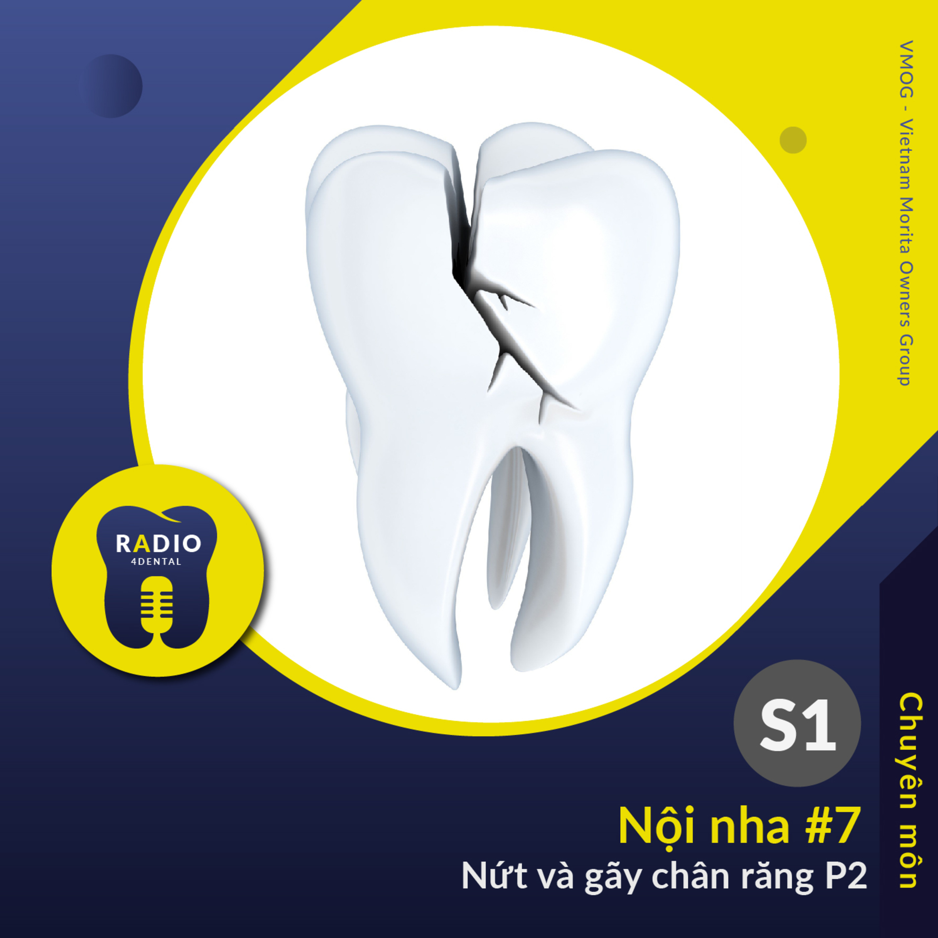 Nha sĩ học bài