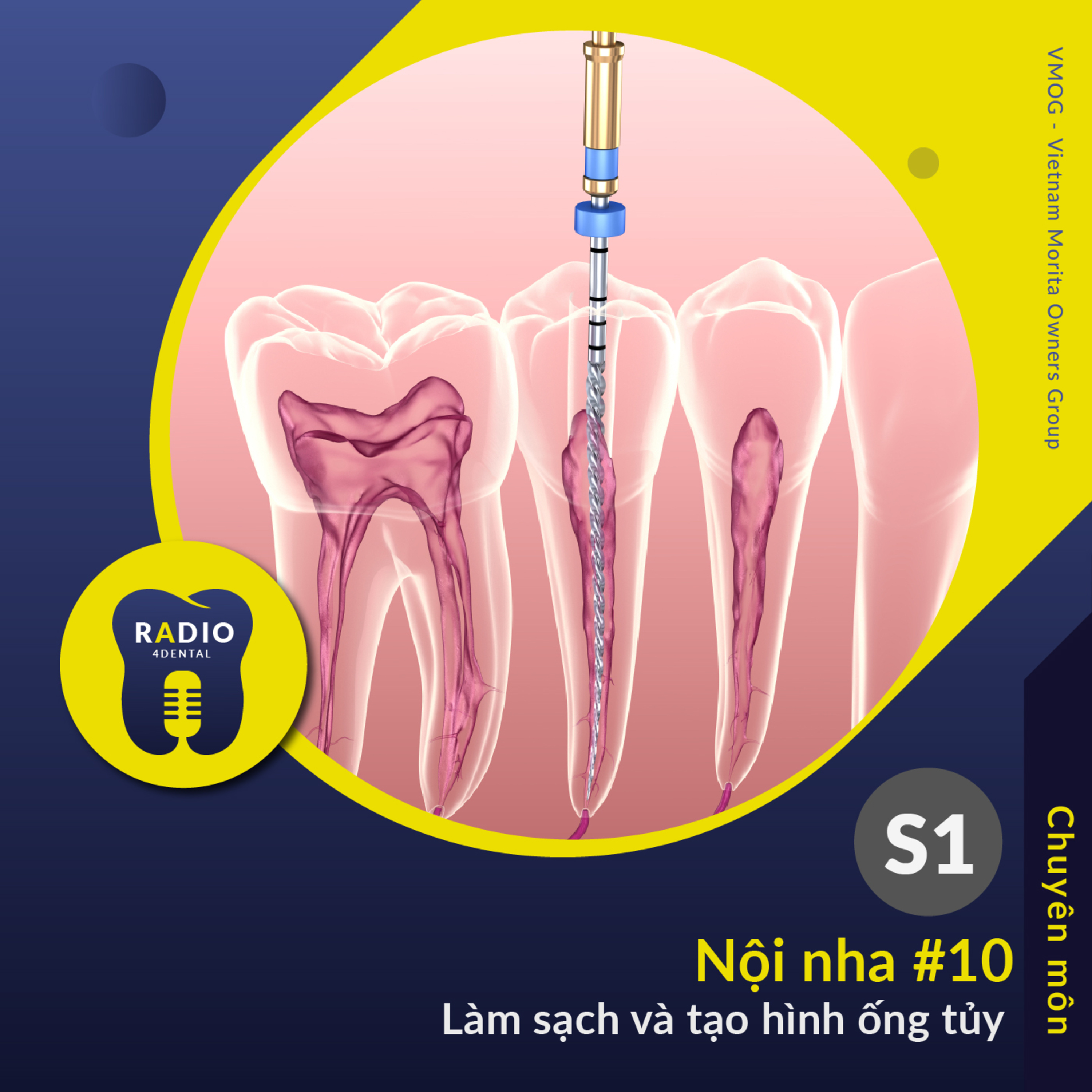 Nha sĩ học bài
