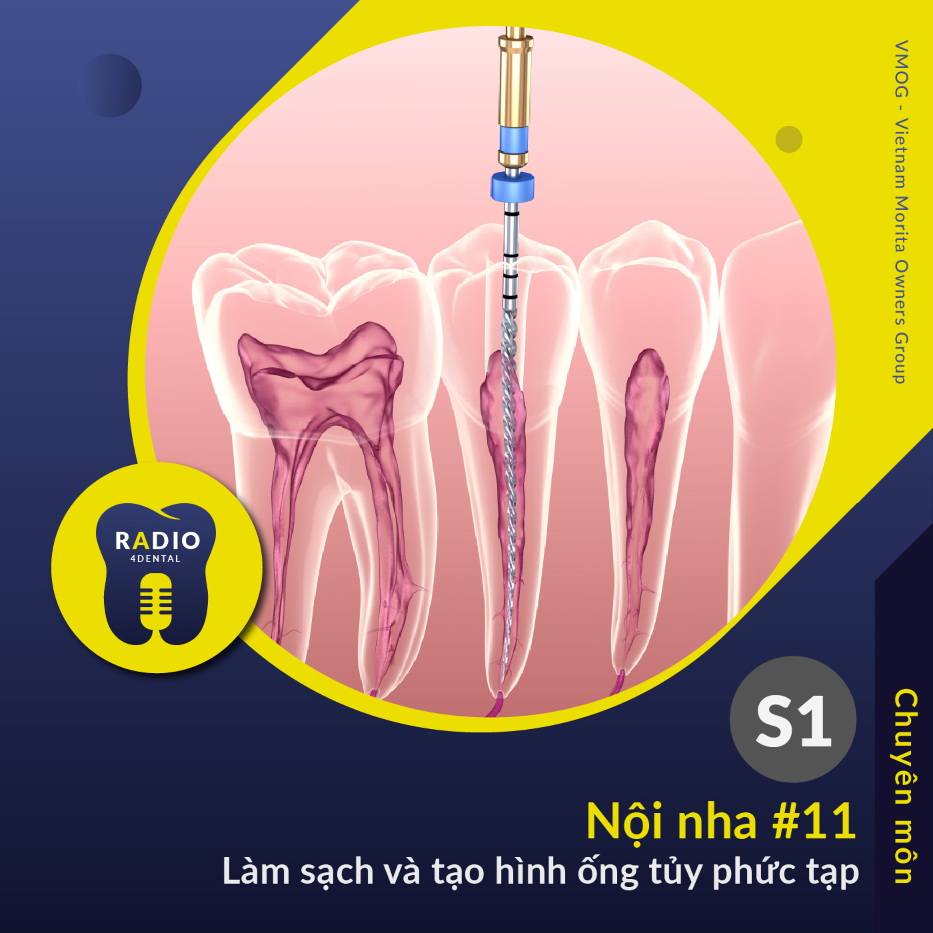 Nha sĩ học bài