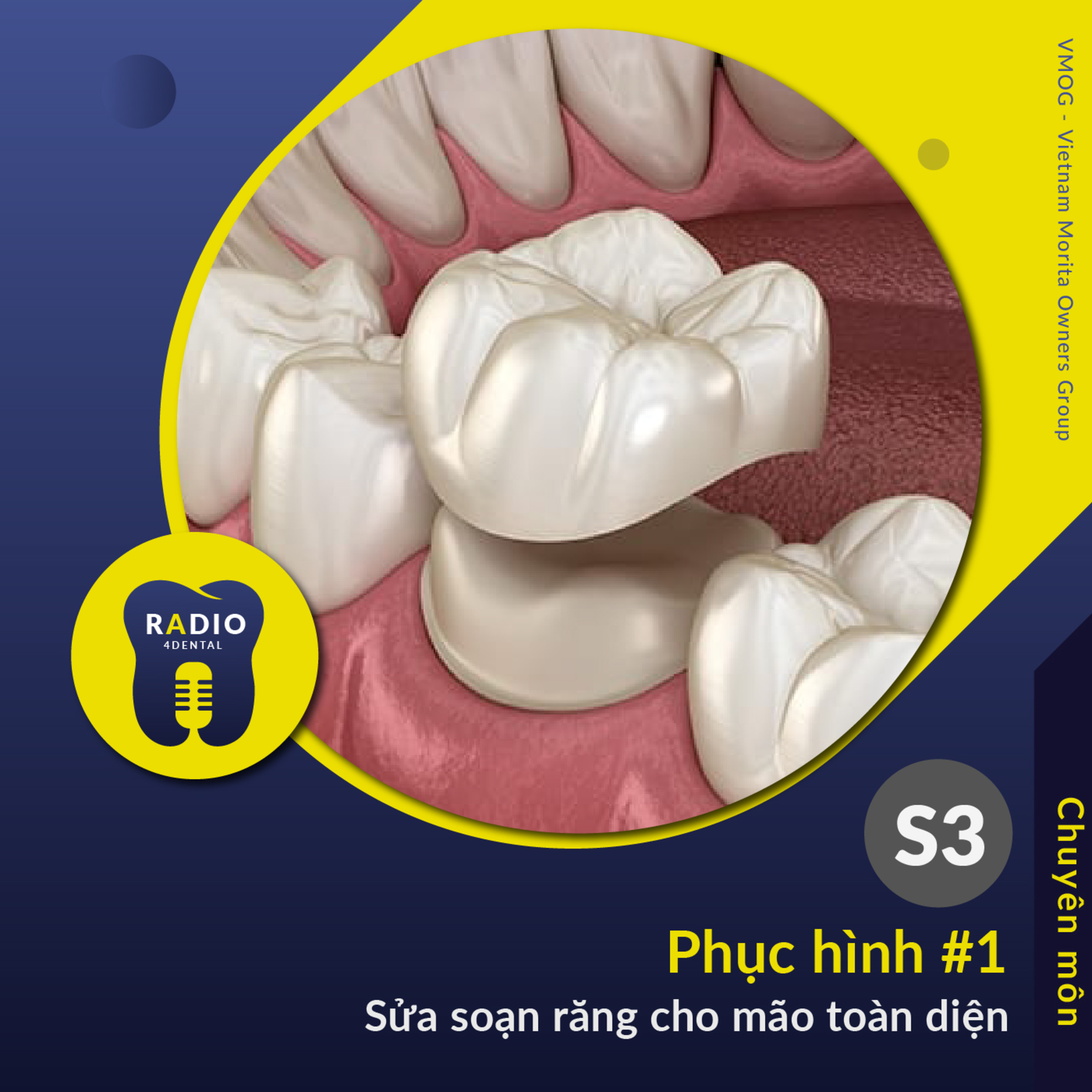Nha sĩ học bài