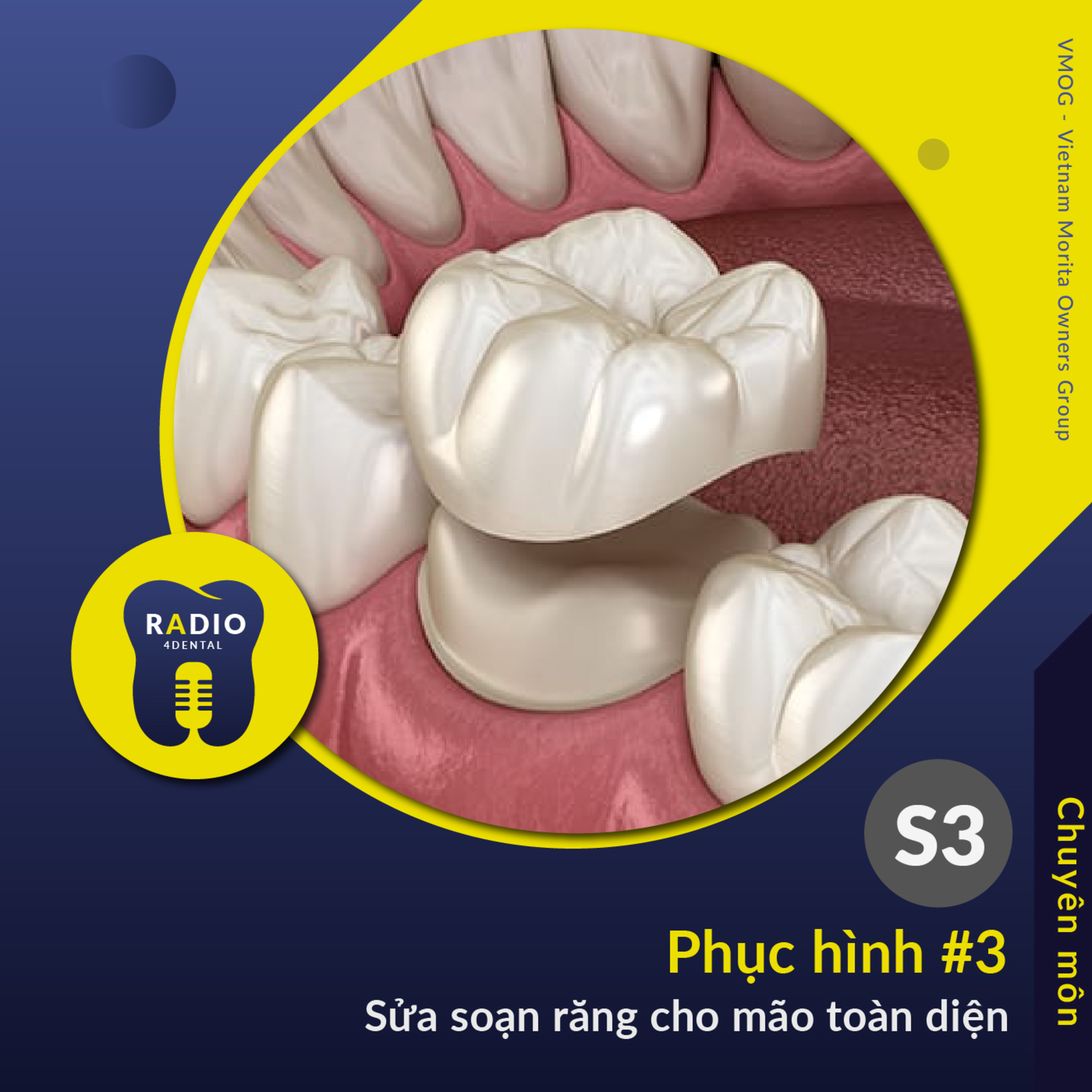 Nha sĩ học bài