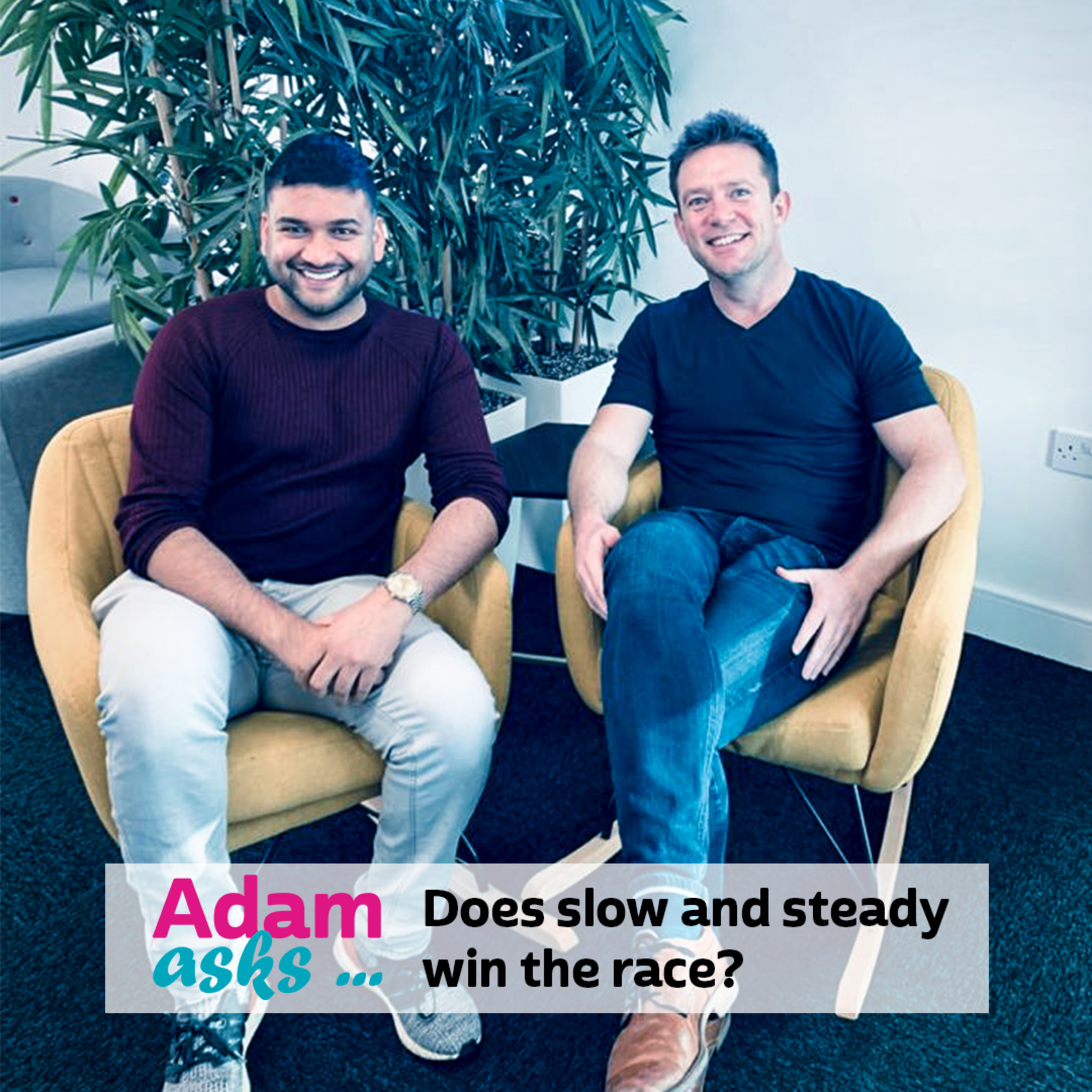 Adam Asks